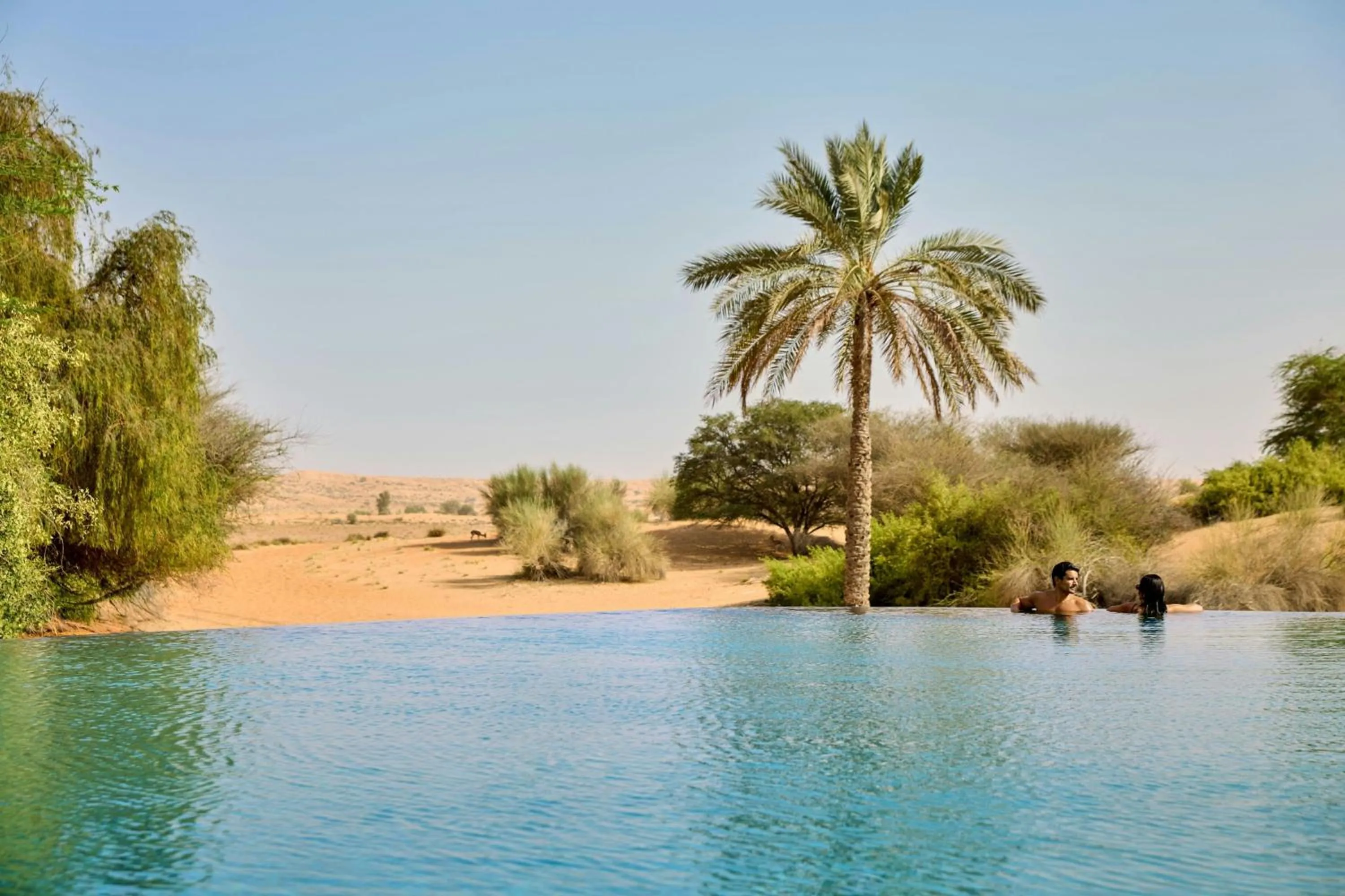 Swimming pool in Al Maha, a Luxury Collection Desert Resort & Spa, Dubai