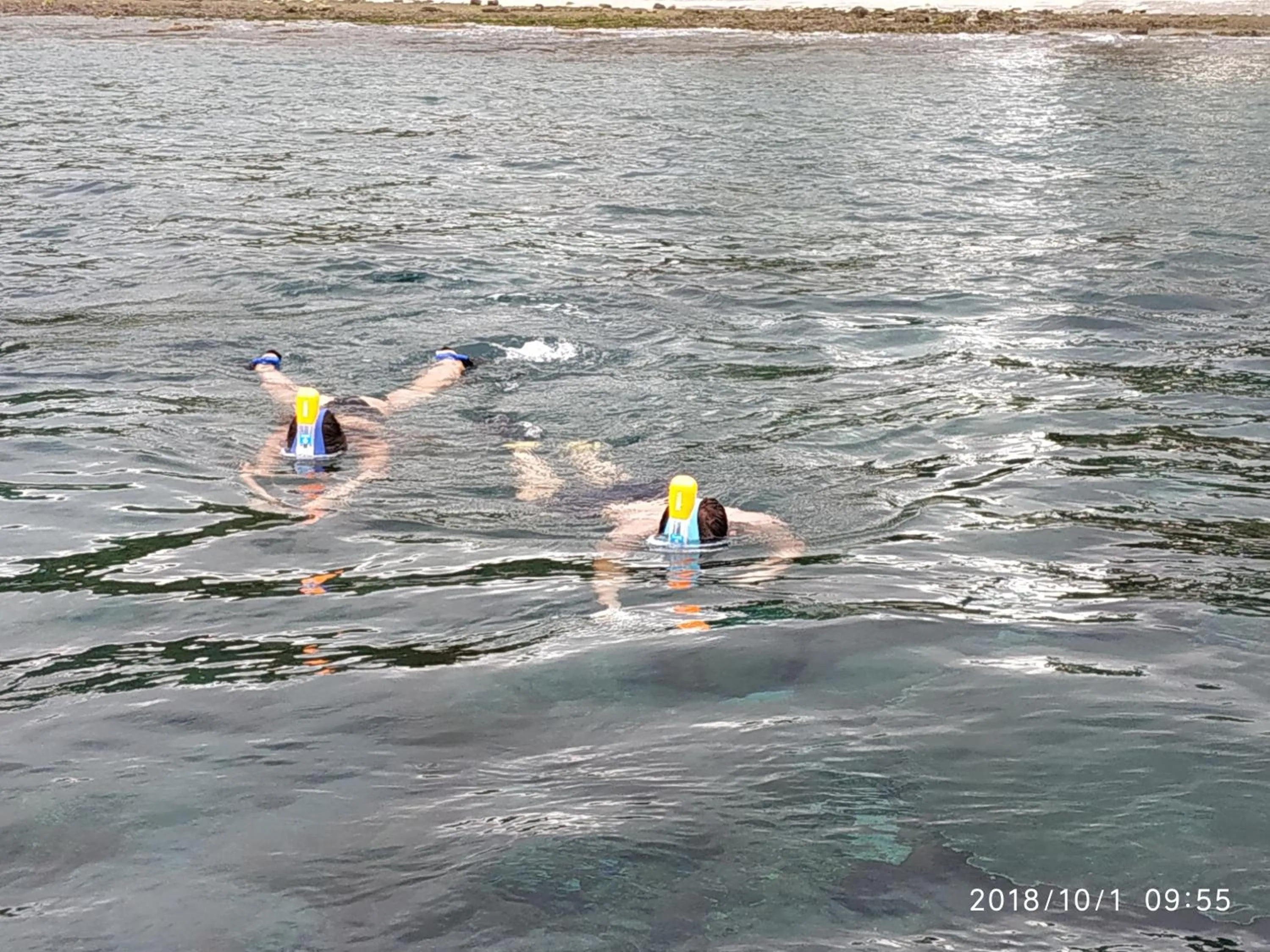 Diving in Saren Villa