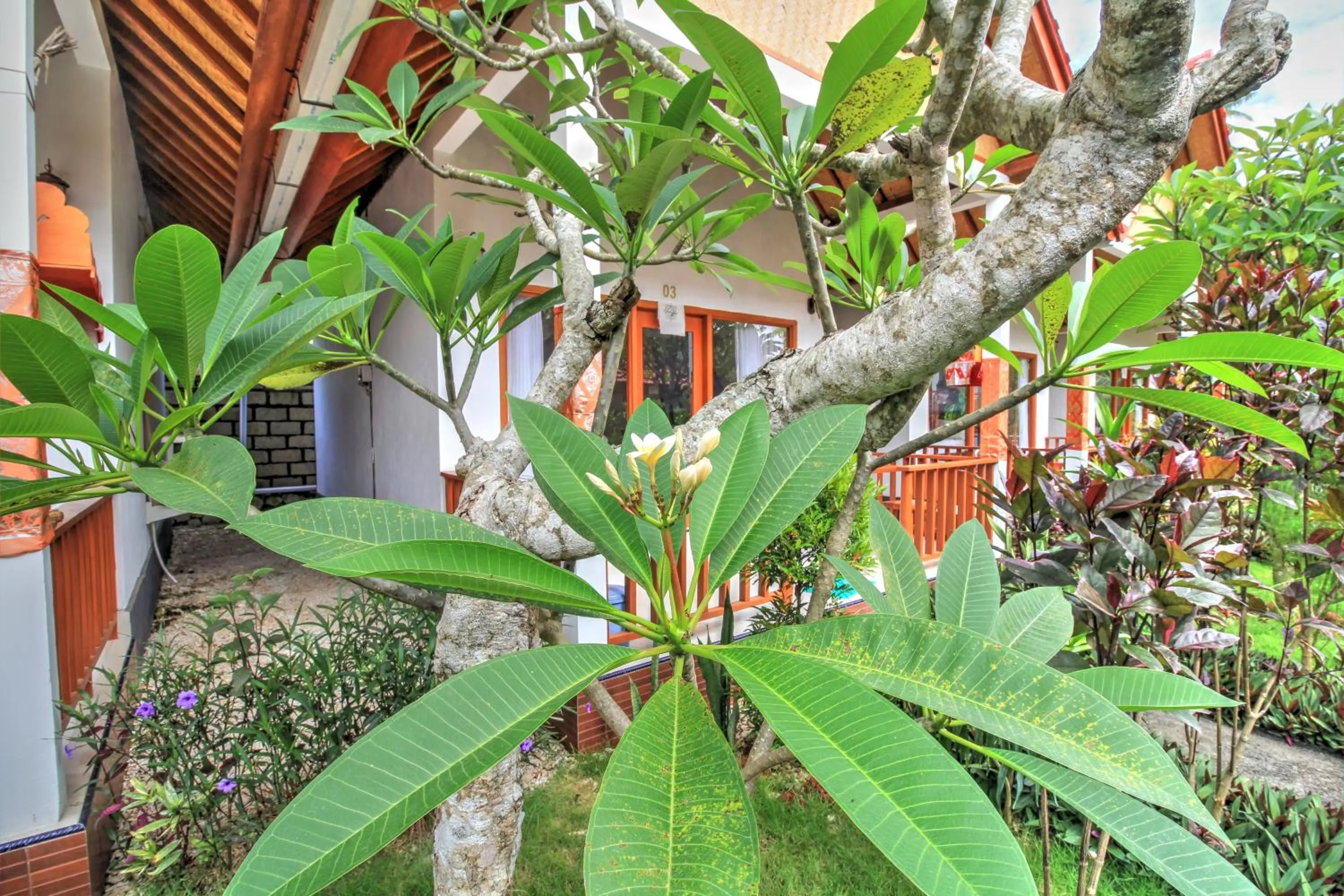 Garden in Saren Villa