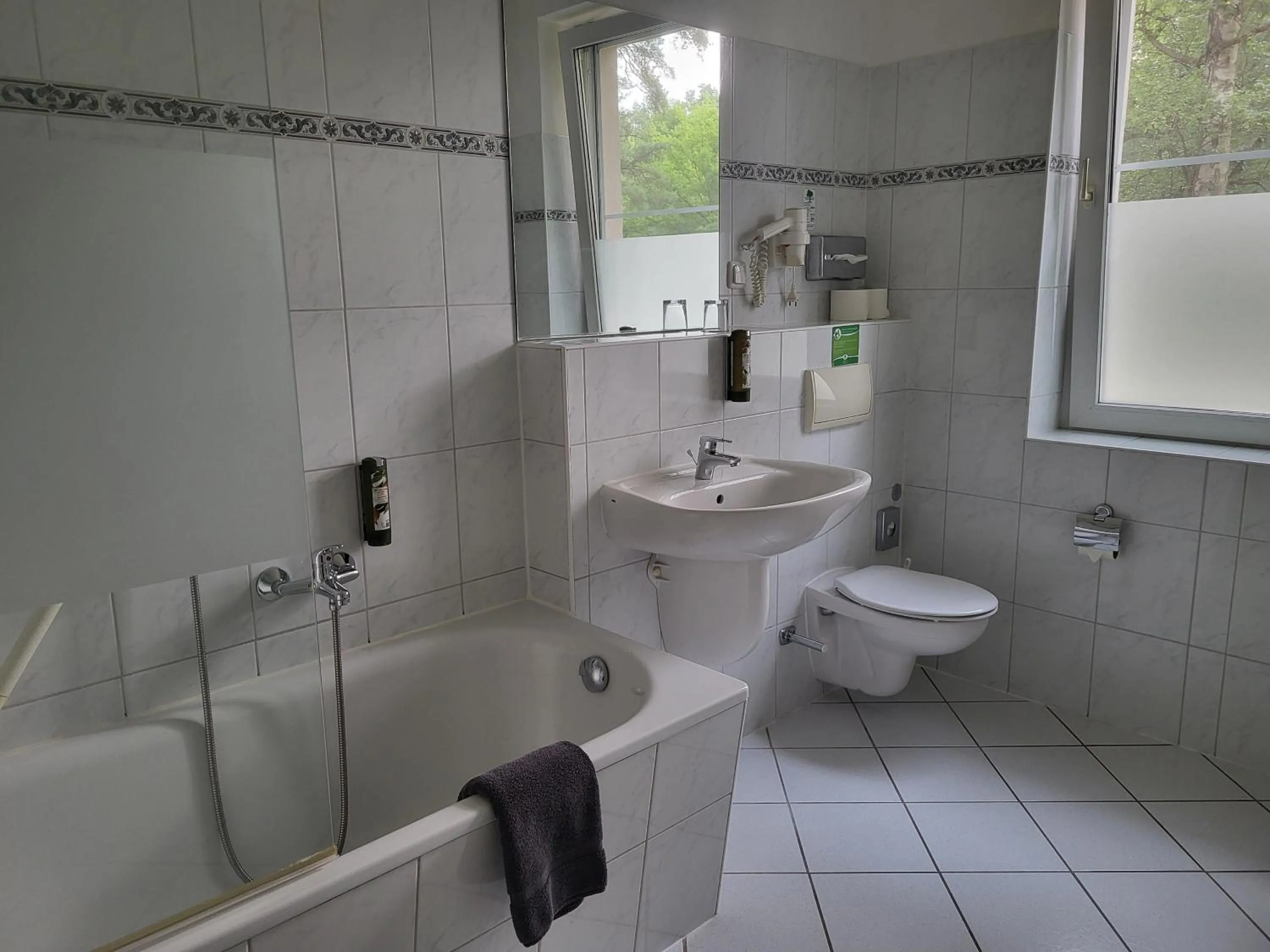 Bathroom in Hotel Waldhaus Prieros