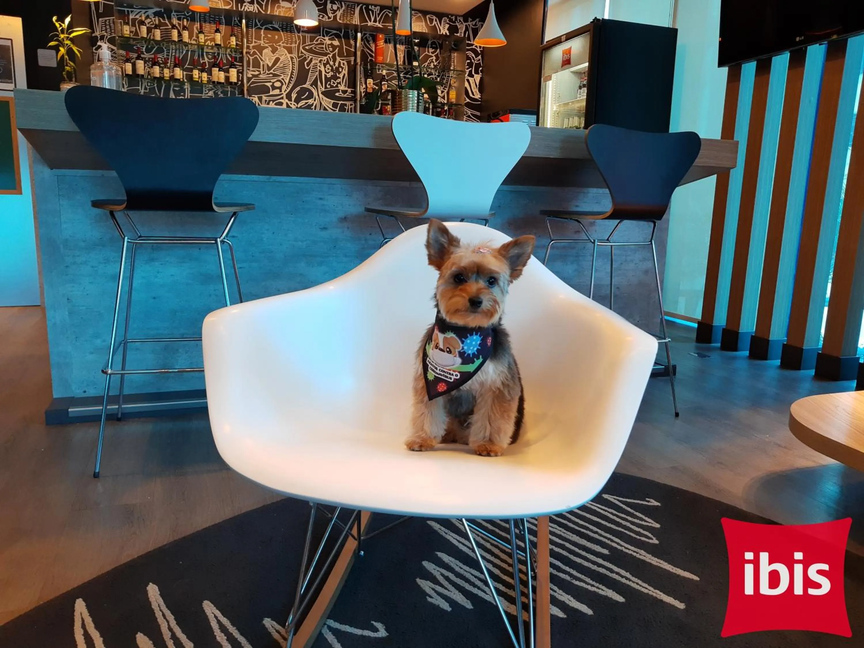 ibis Passo Fundo Centro