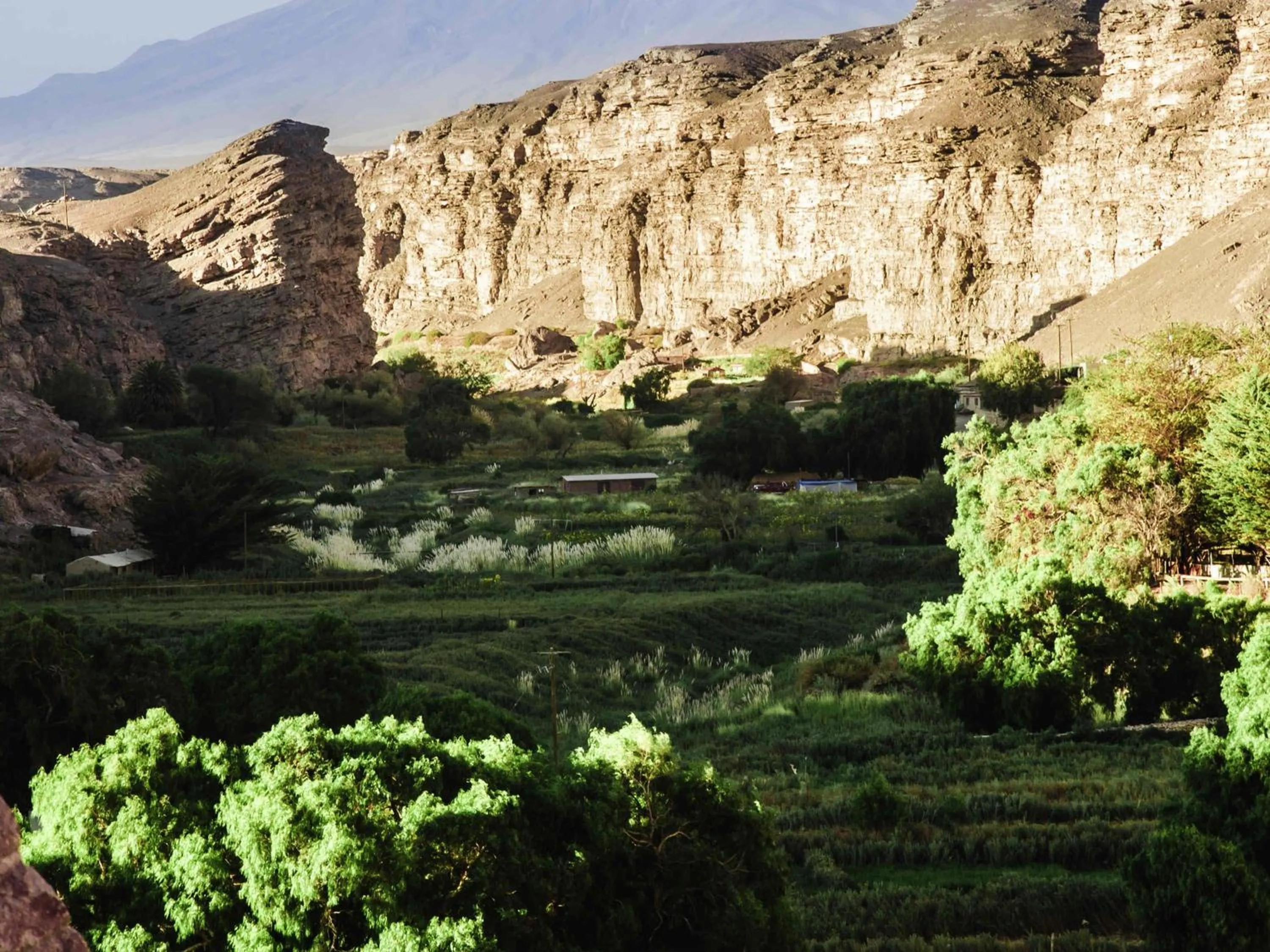 Other in ibis Calama