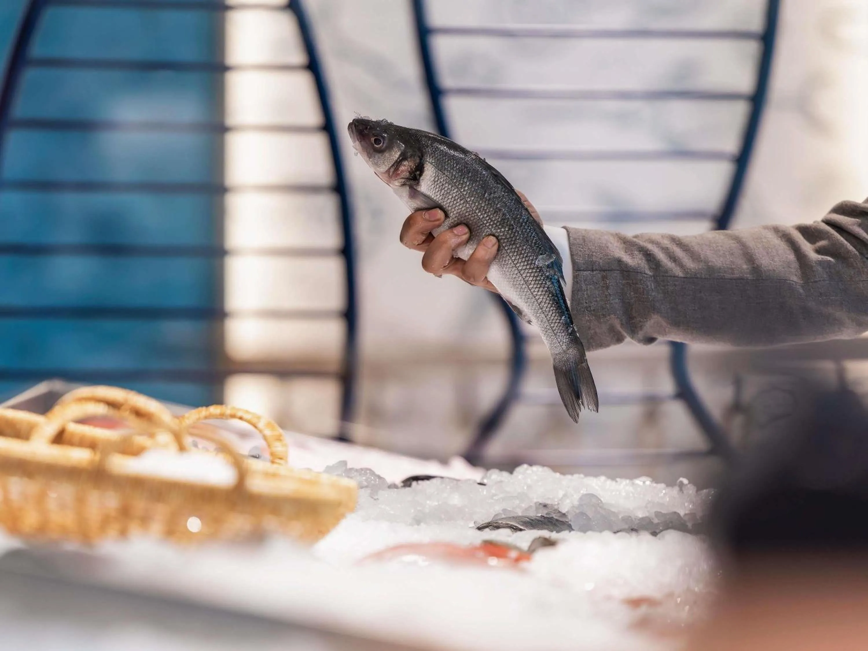 Restaurant/places to eat in Alwadi Hotel Doha - MGallery Collection