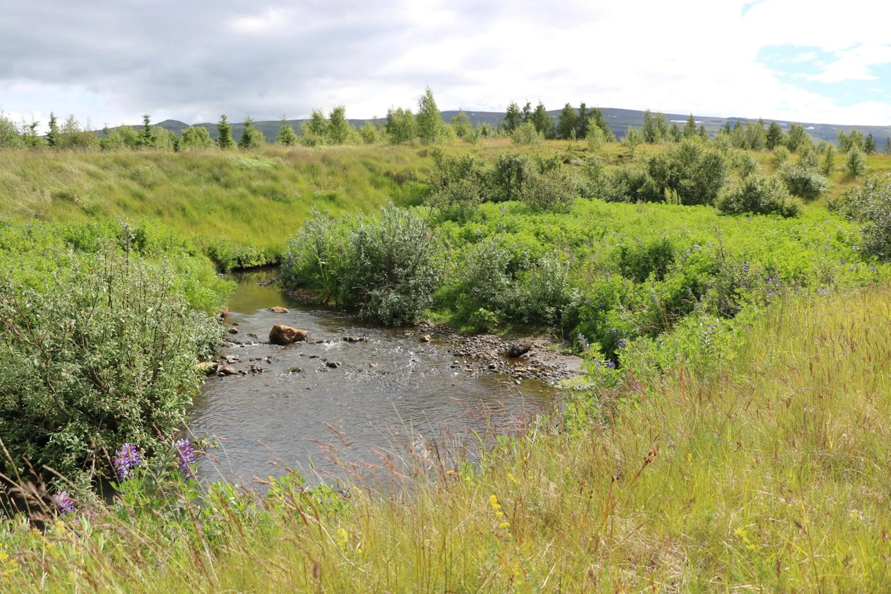 Property building in Hotel 1001 Nott