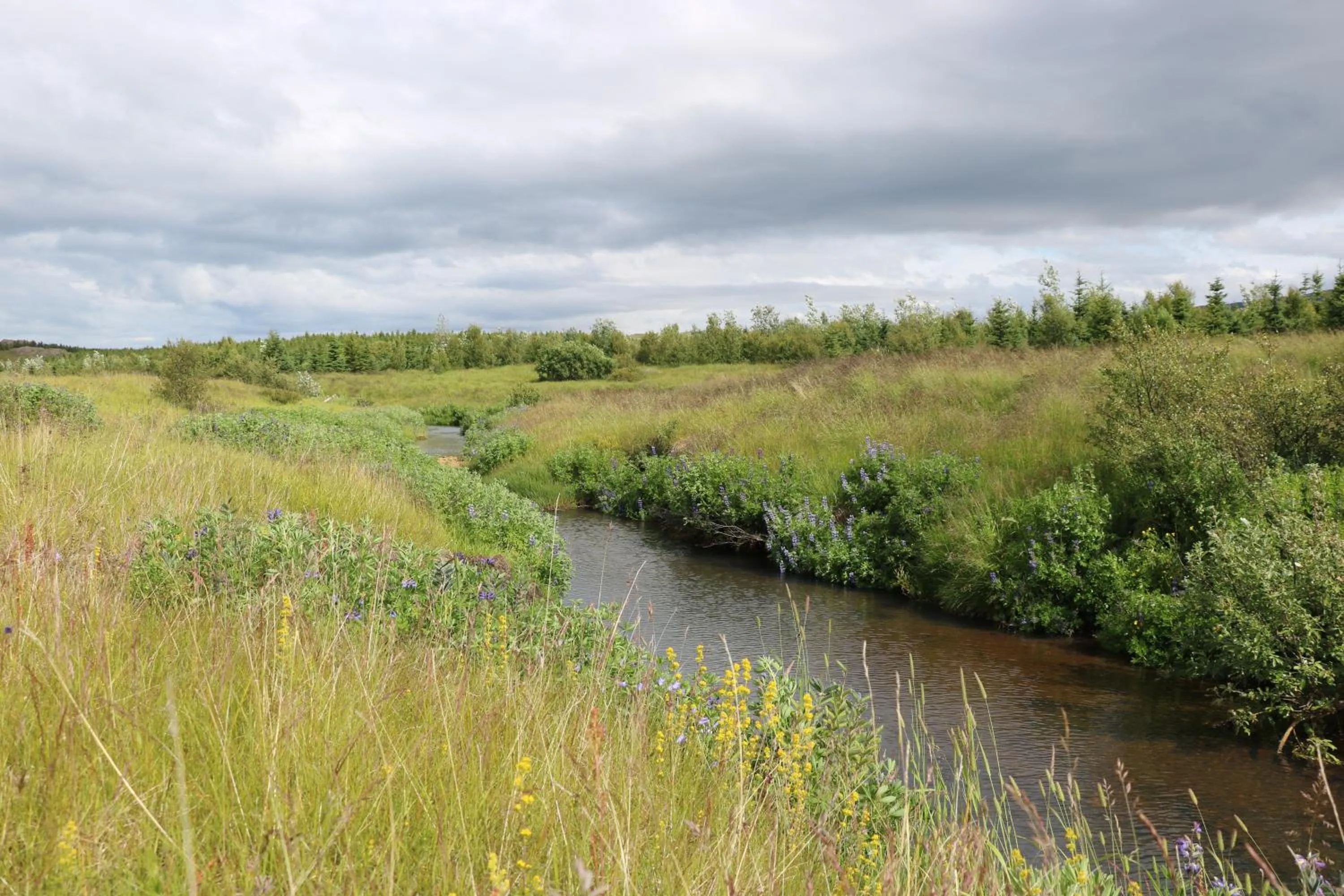 Property building in Hotel 1001 Nott