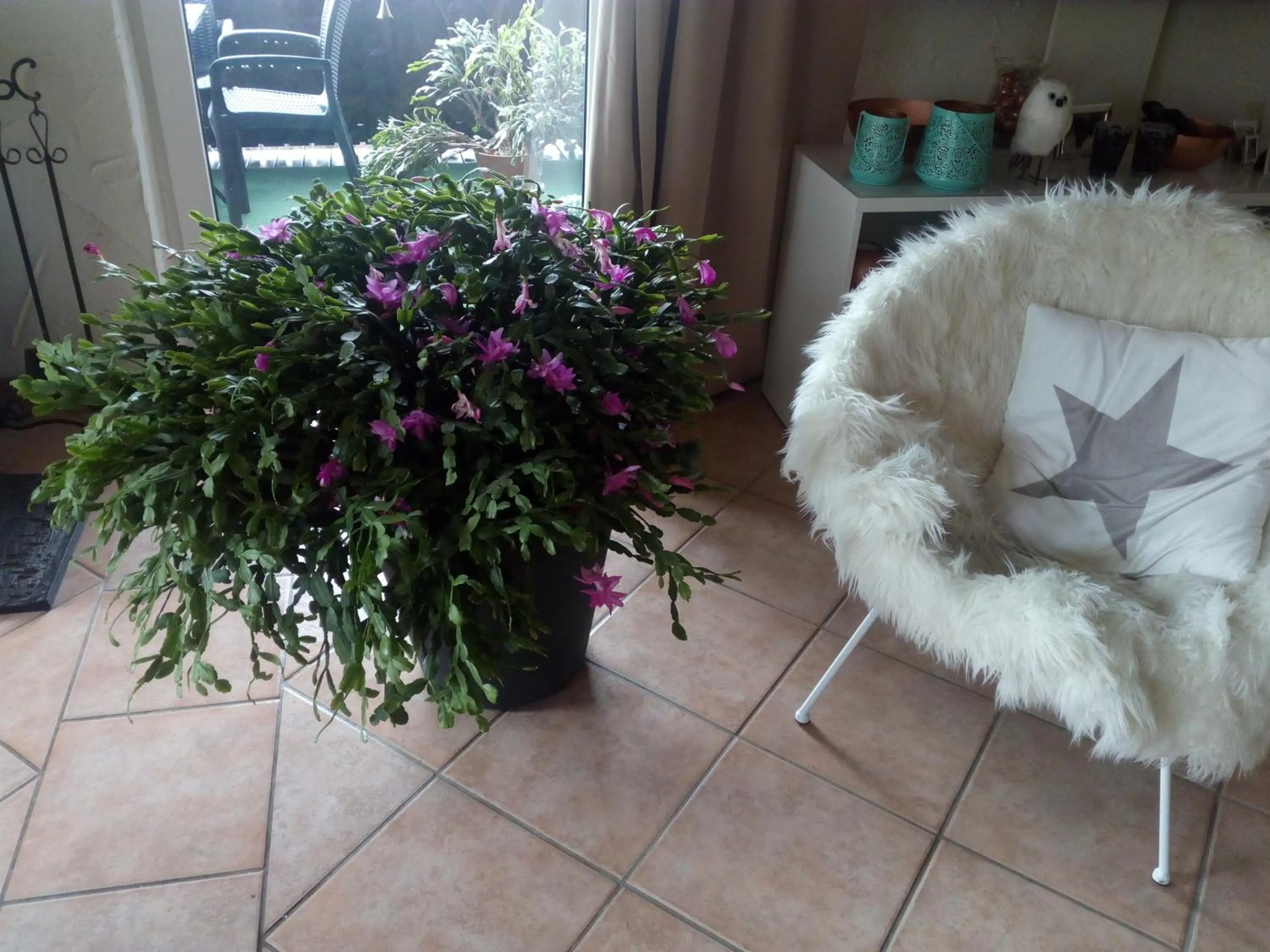 Landhotel Alte Mühle