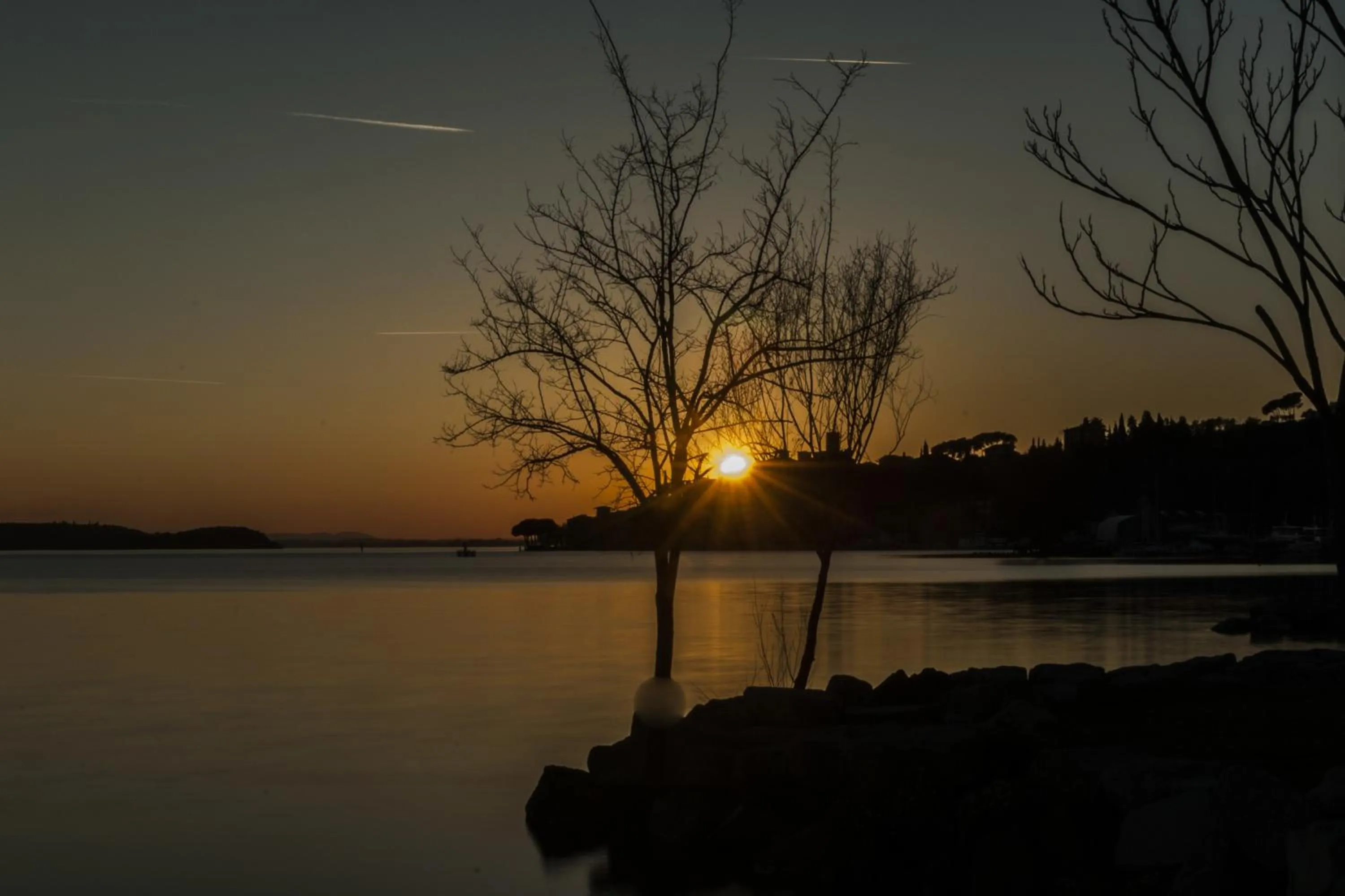 Natural landscape in Hotel Kursaal