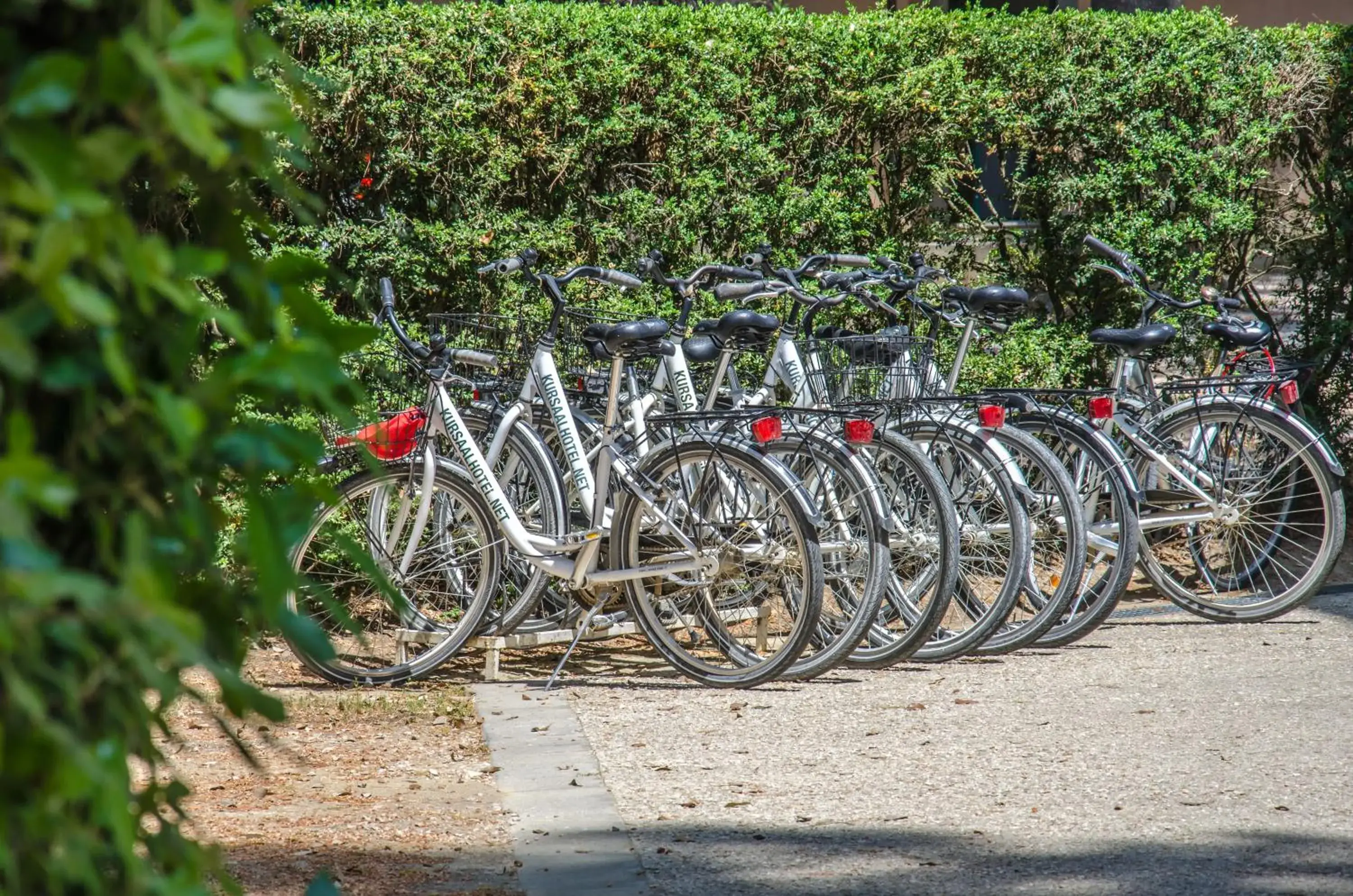 Biking in Hotel Kursaal