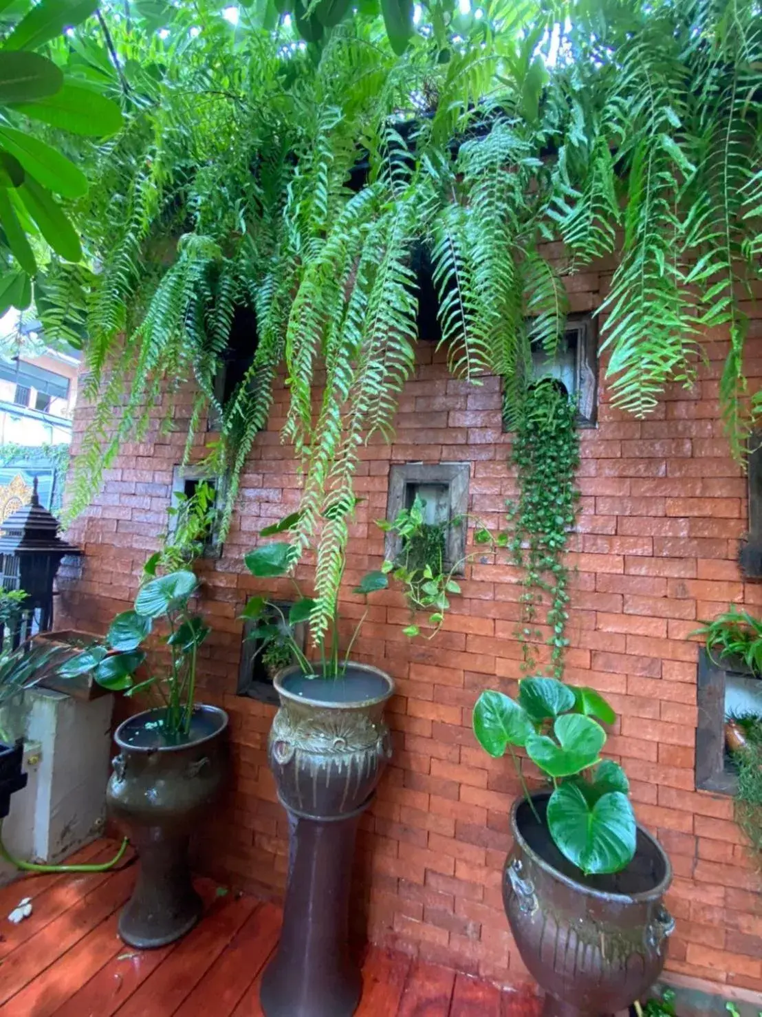 Garden view in Wannamas Chiangmai Boutique House Garden view in Wannamas Chiangmai Boutique House