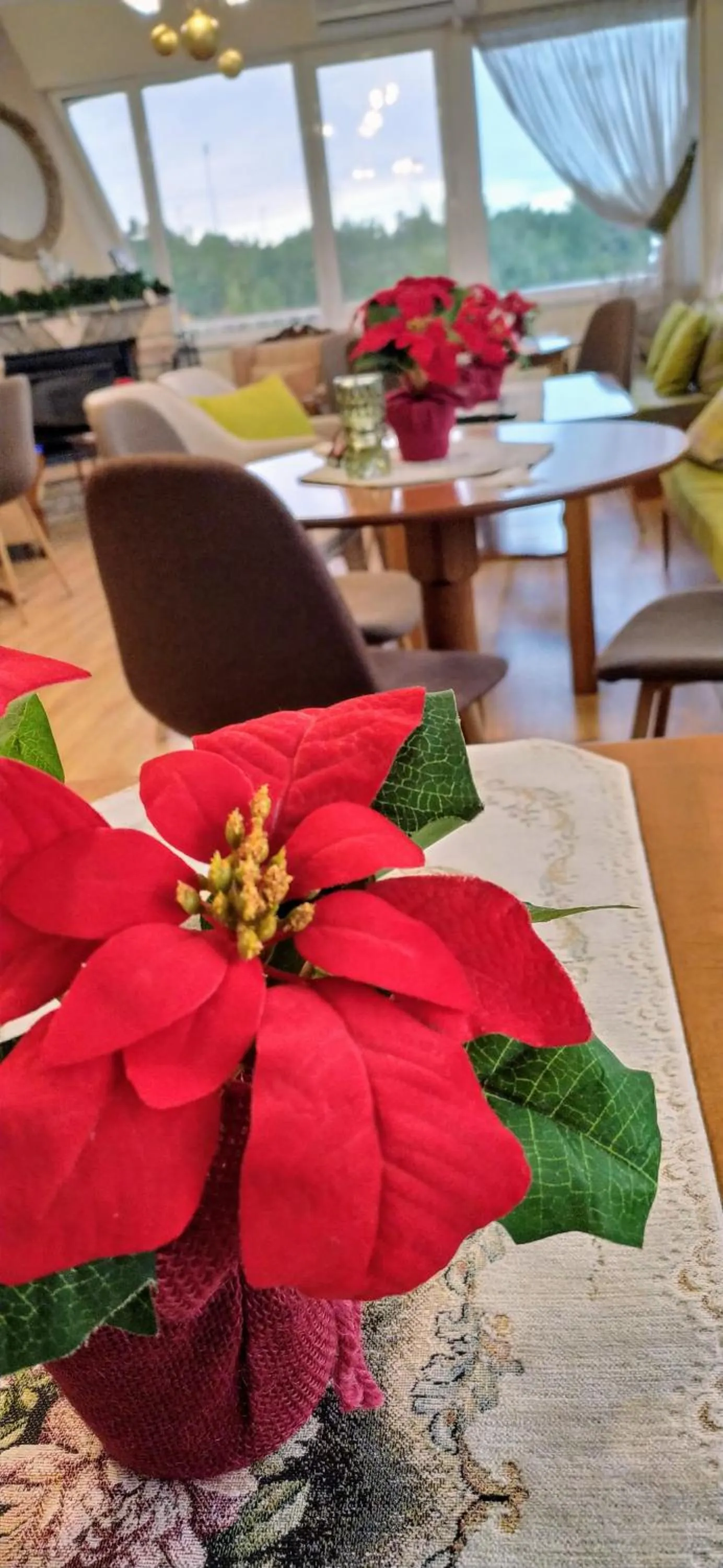 Olympus View Rooms Sauna & Spa