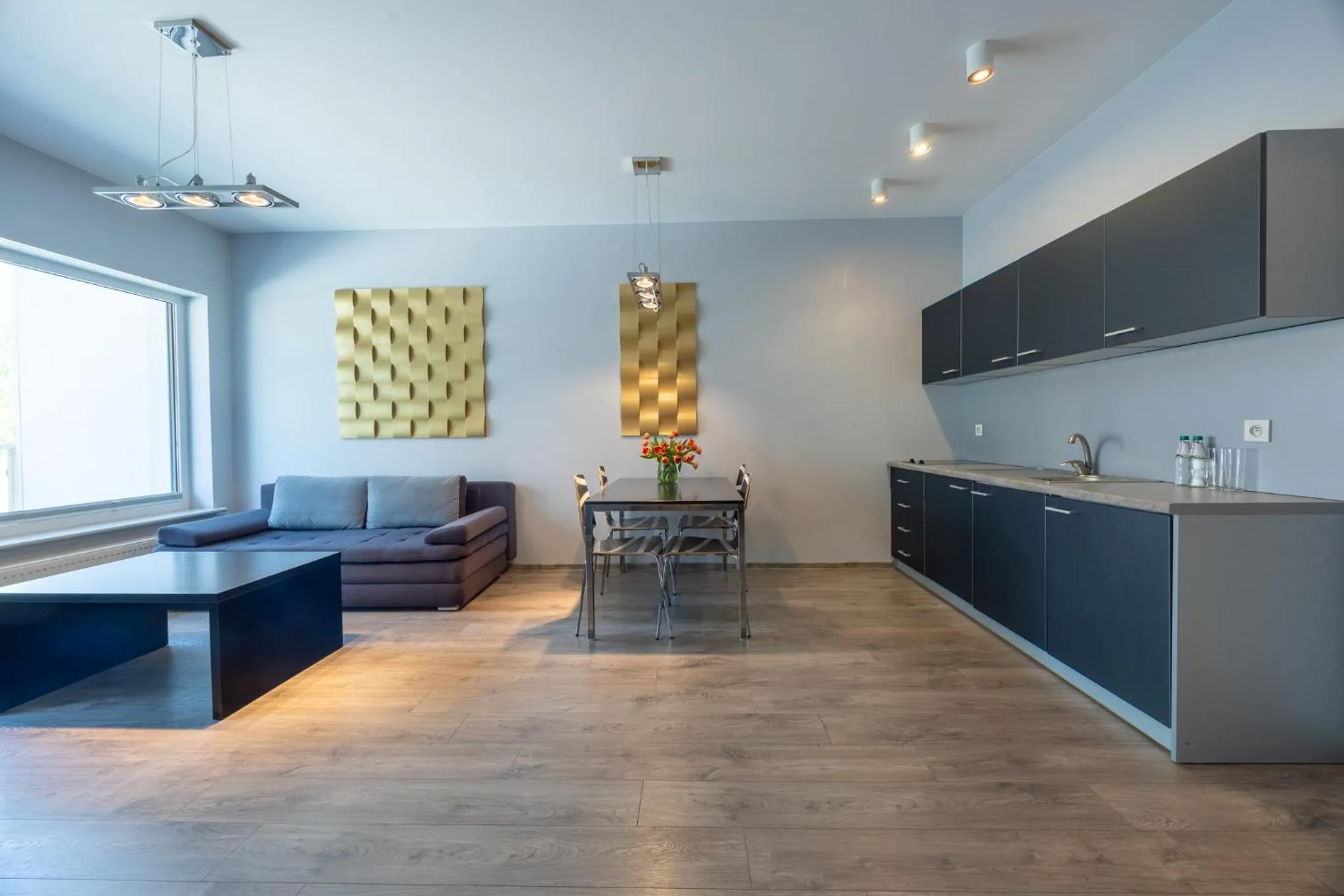 Kitchen or kitchenette in Apartamenty Baltic Inn