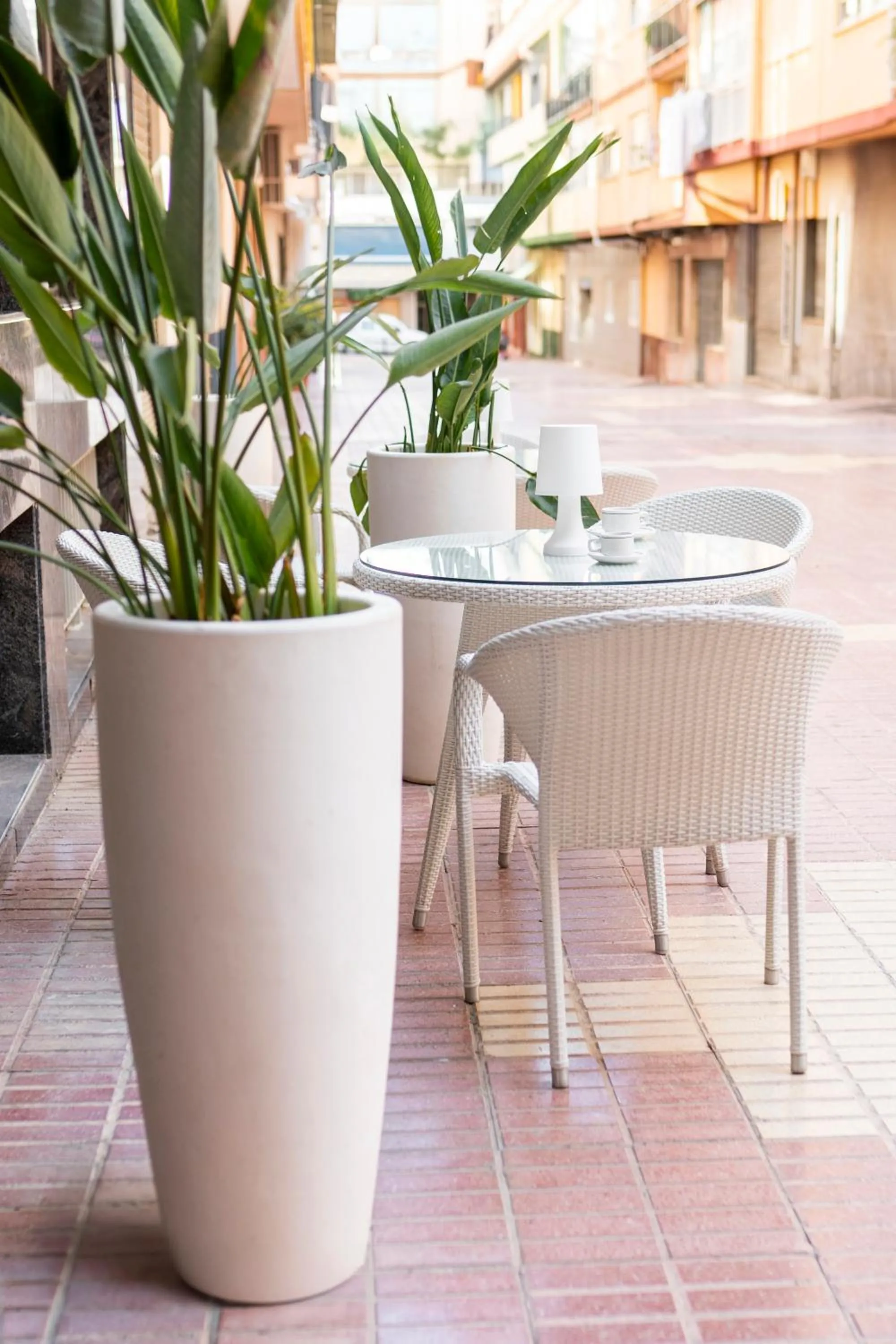 Patio in Hotel Primavera Benidorm