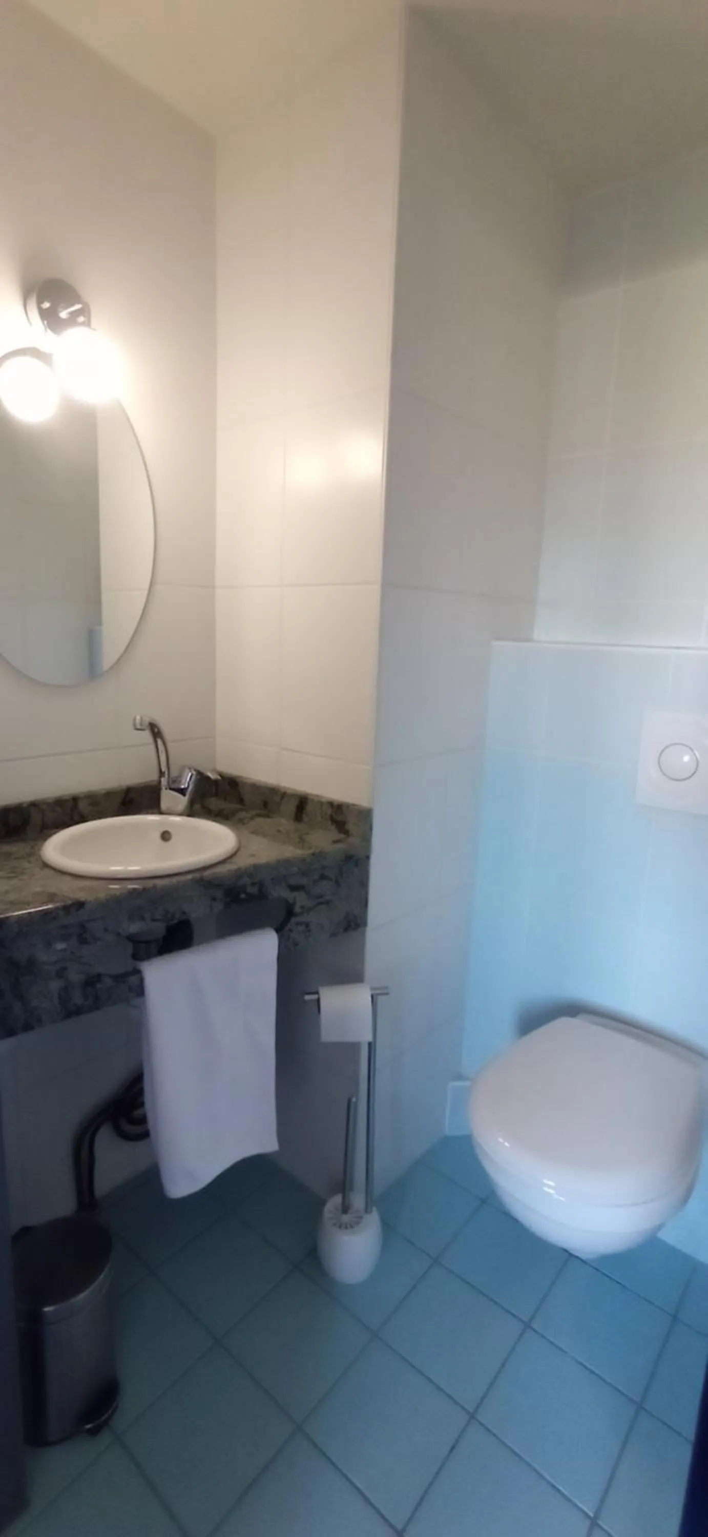 Toilet in Logis Hotel Restaurant Le Cygne