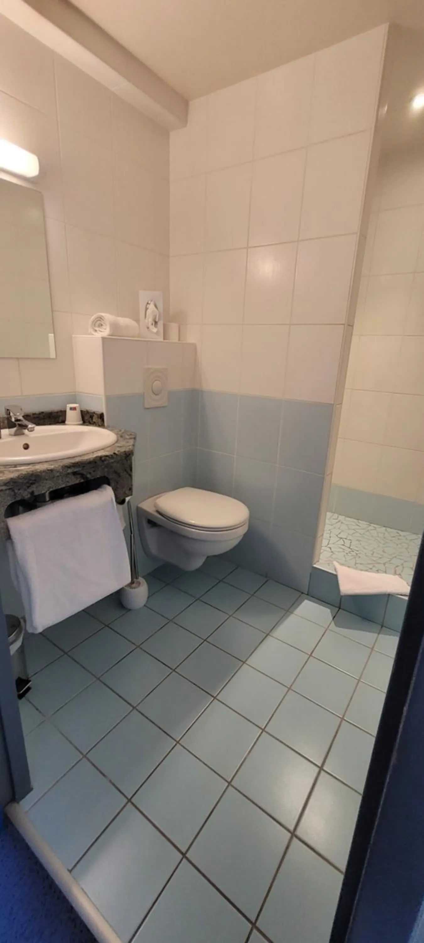 Logis Hotel Restaurant Le Cygne