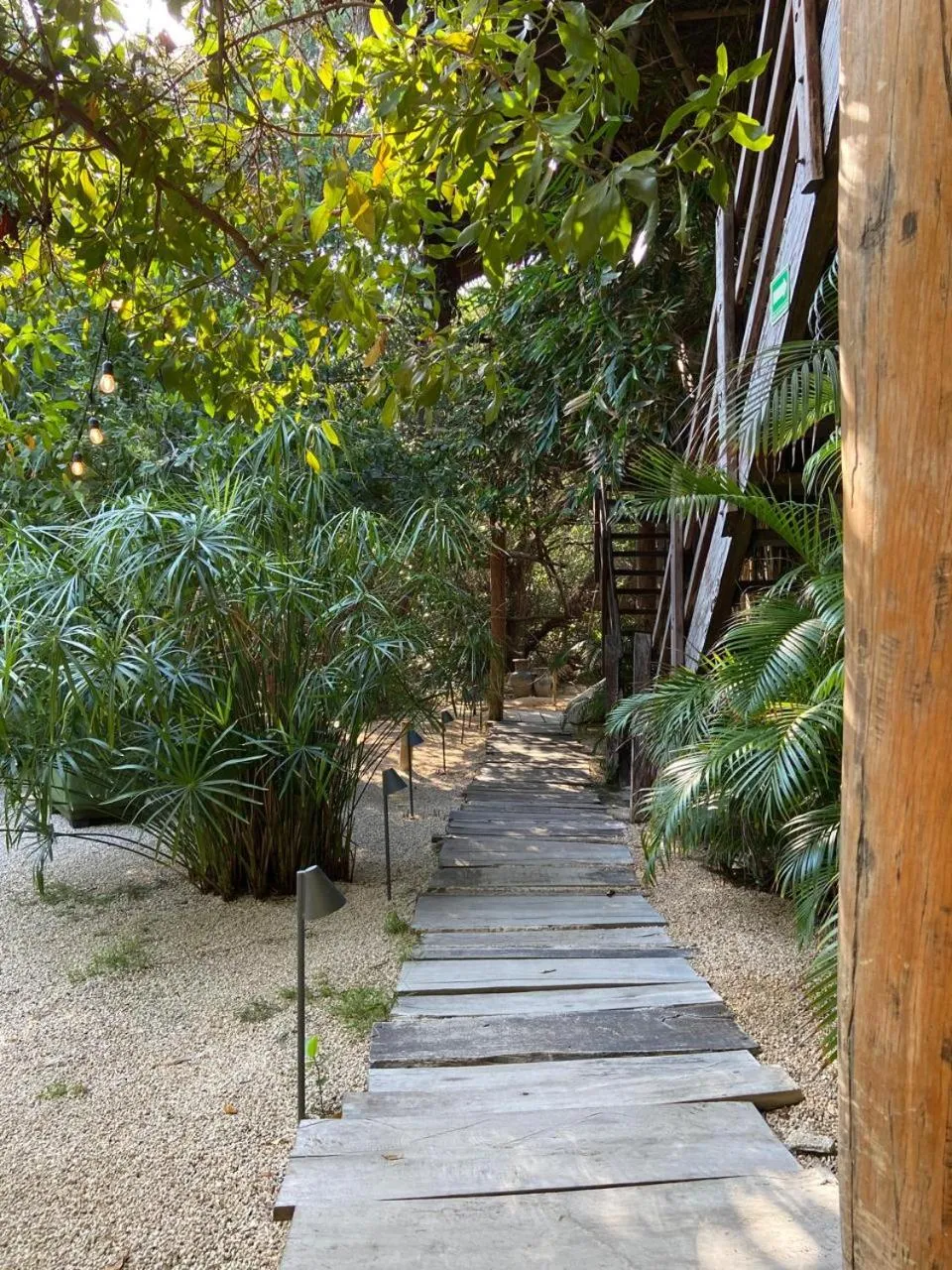 Garden in Amor Rooms