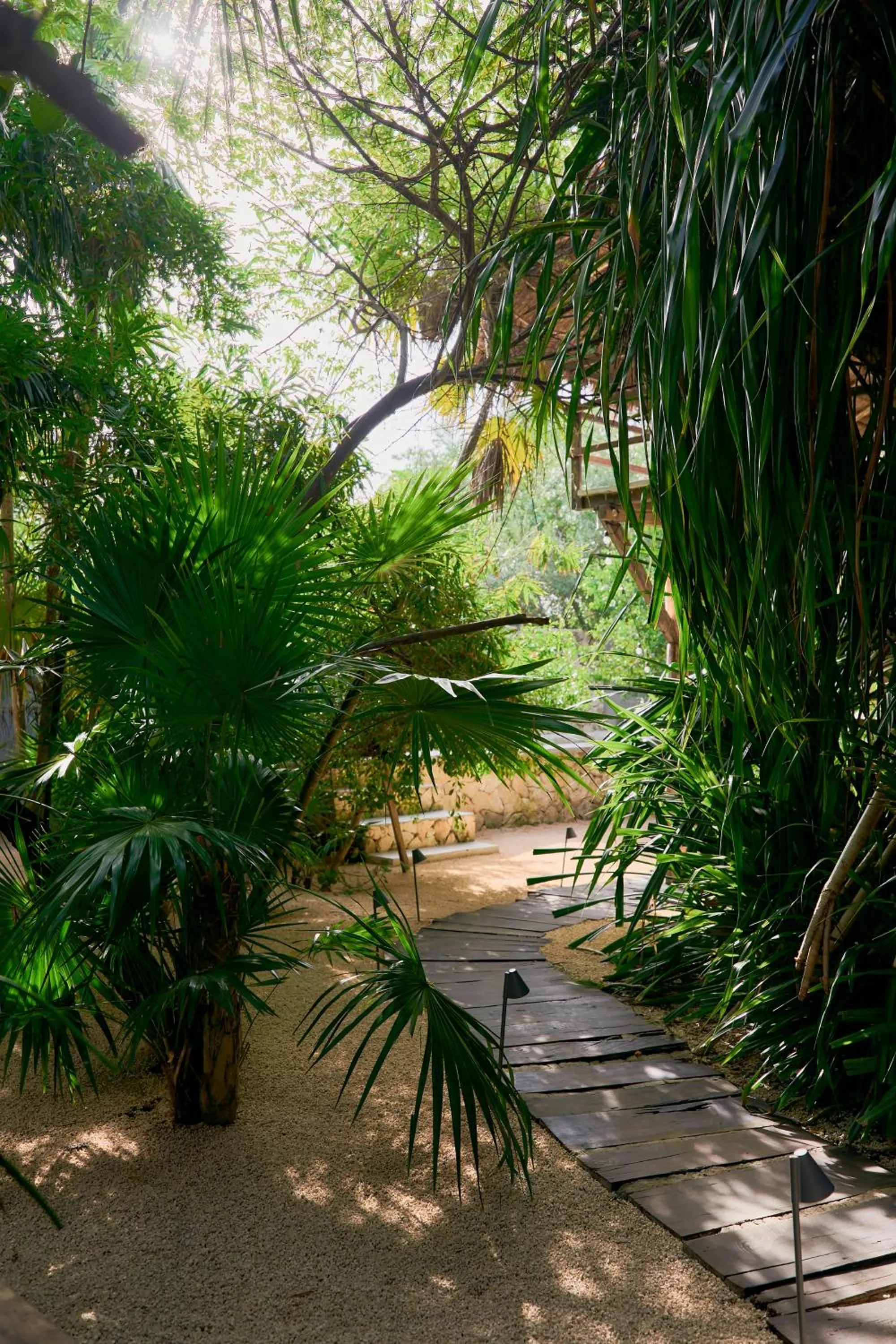 Garden view in Amor Rooms