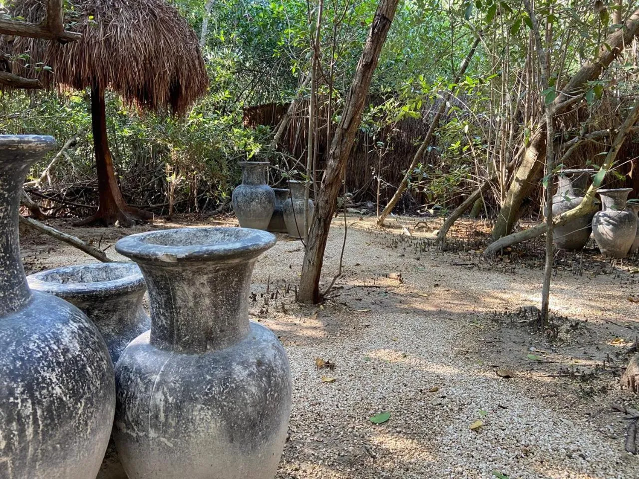 Garden view in Amor Rooms