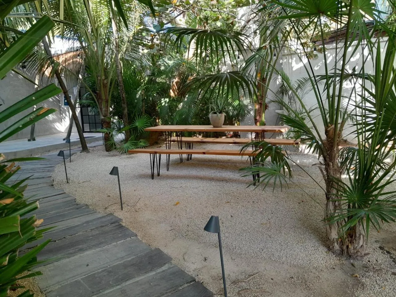 Garden in Amor Rooms