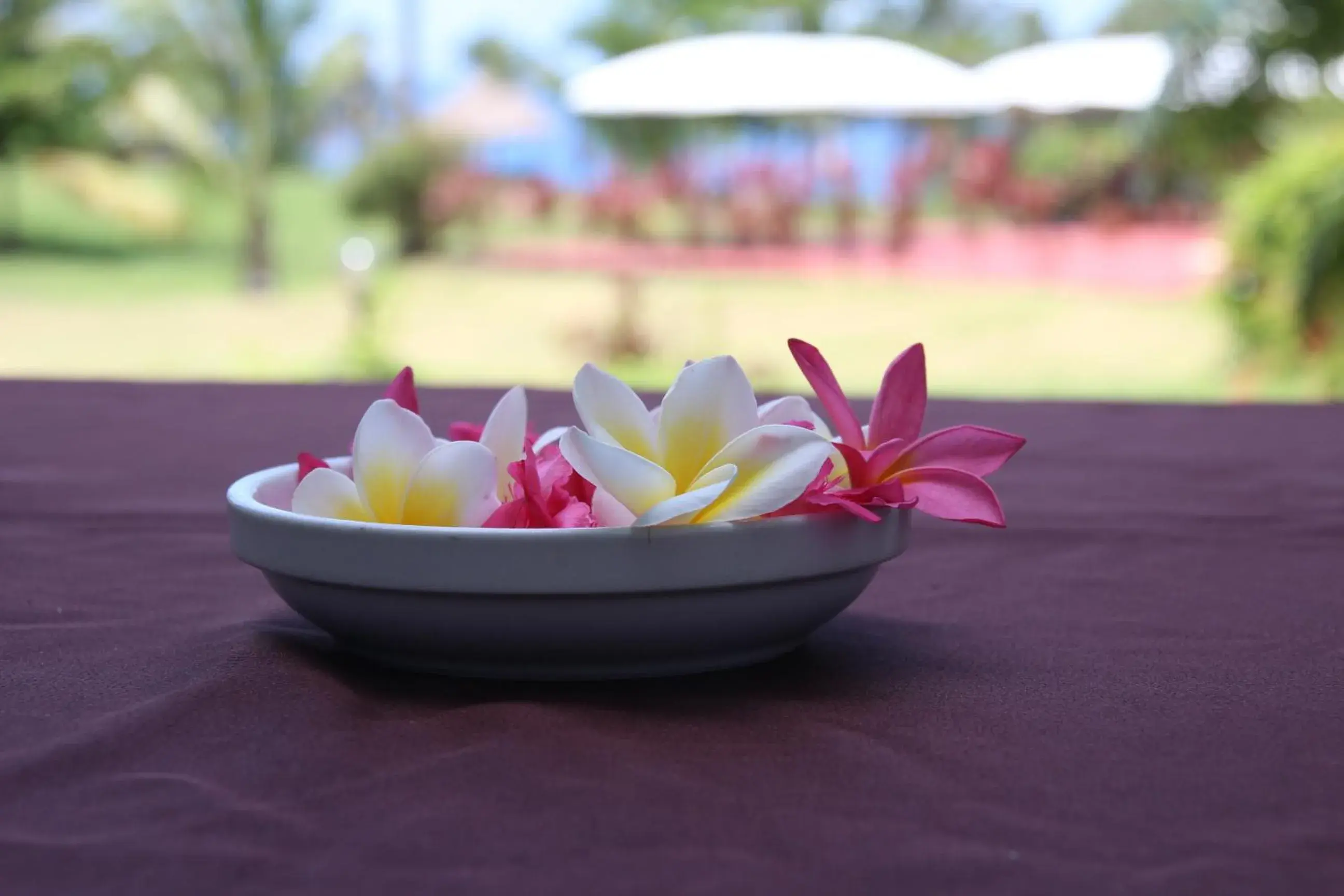 Spa and wellness centre/facilities in Retaj Moroni Spa and wellness centre/facilities in Retaj Moroni