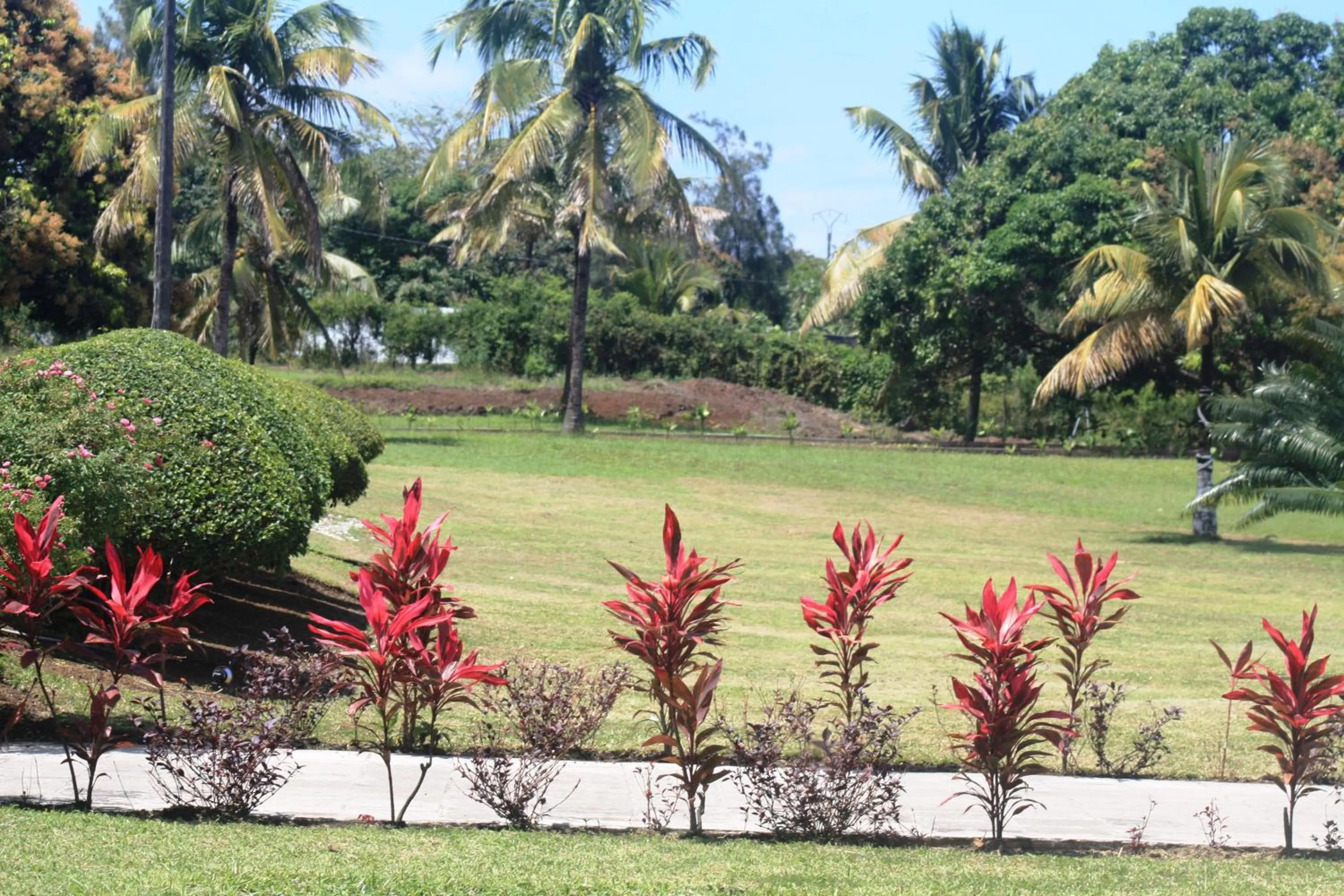 Garden in Retaj Moroni