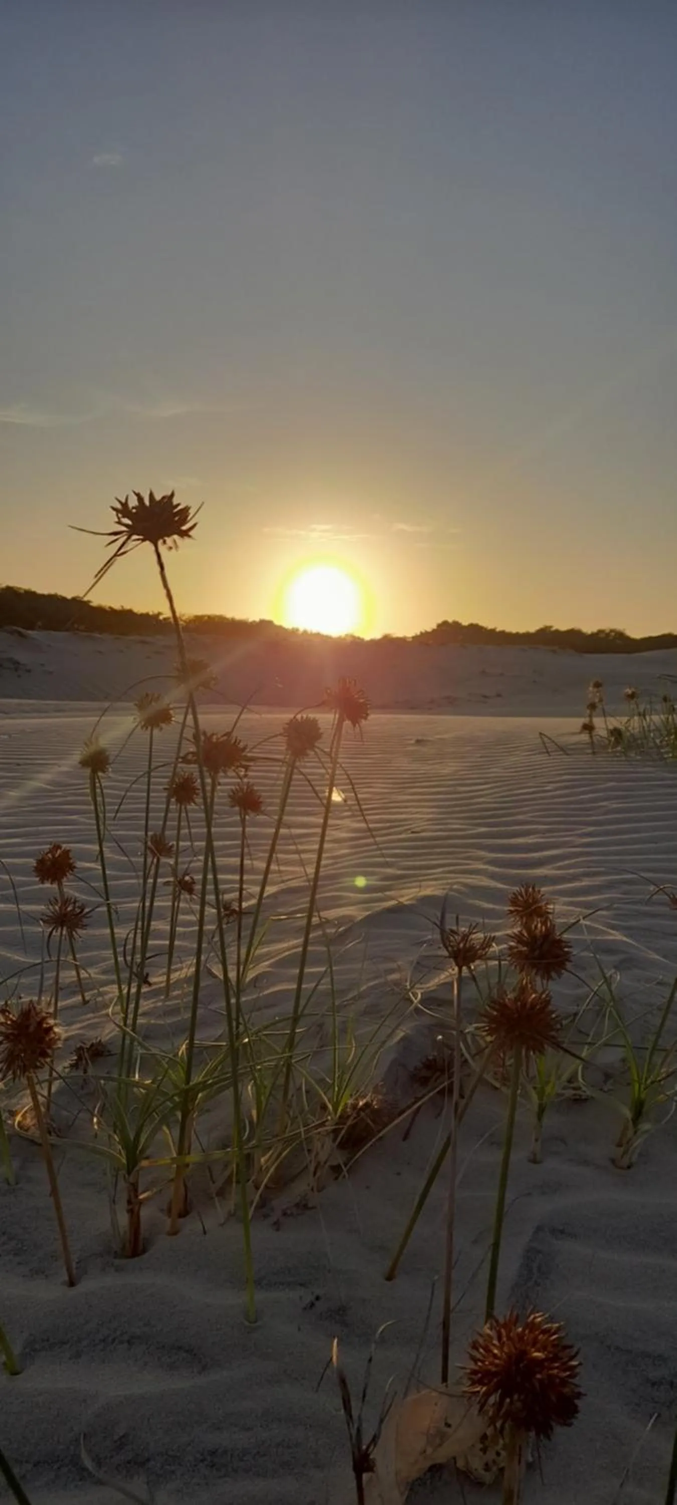 Pousada Tartaruga Cumbuco