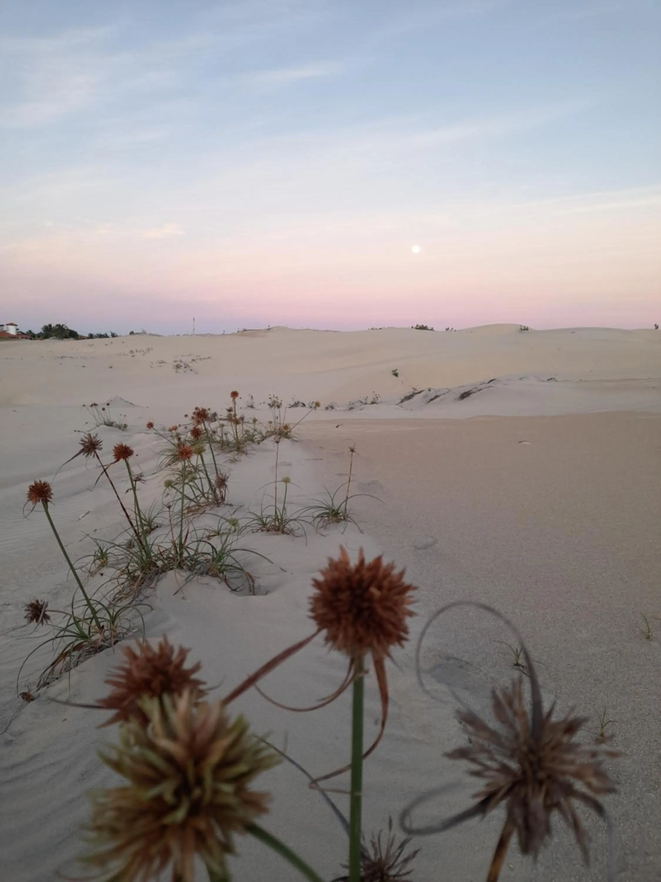 Pousada Tartaruga Cumbuco