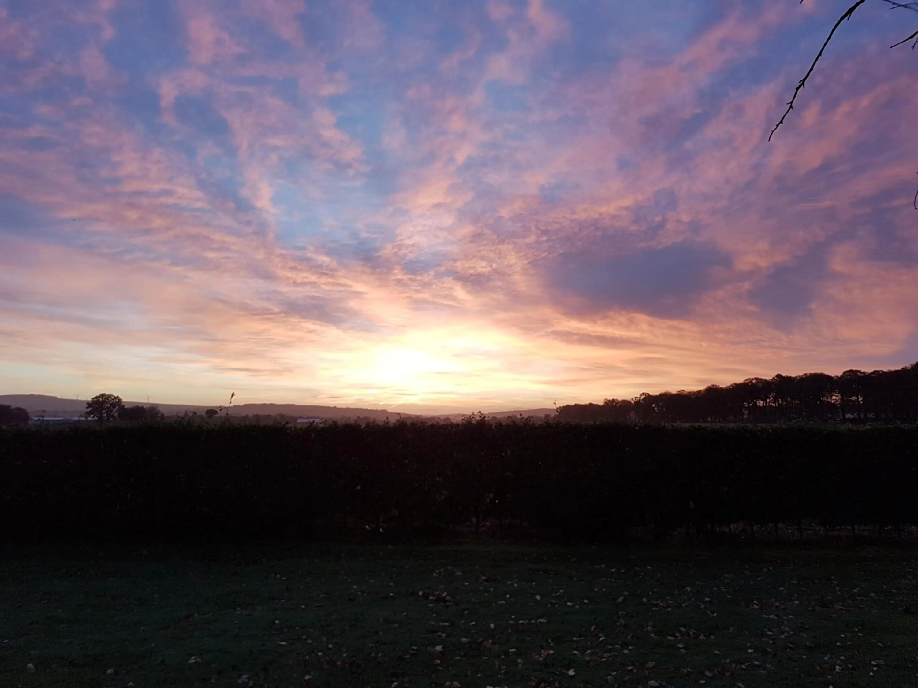 Property building in Moorepark West House
