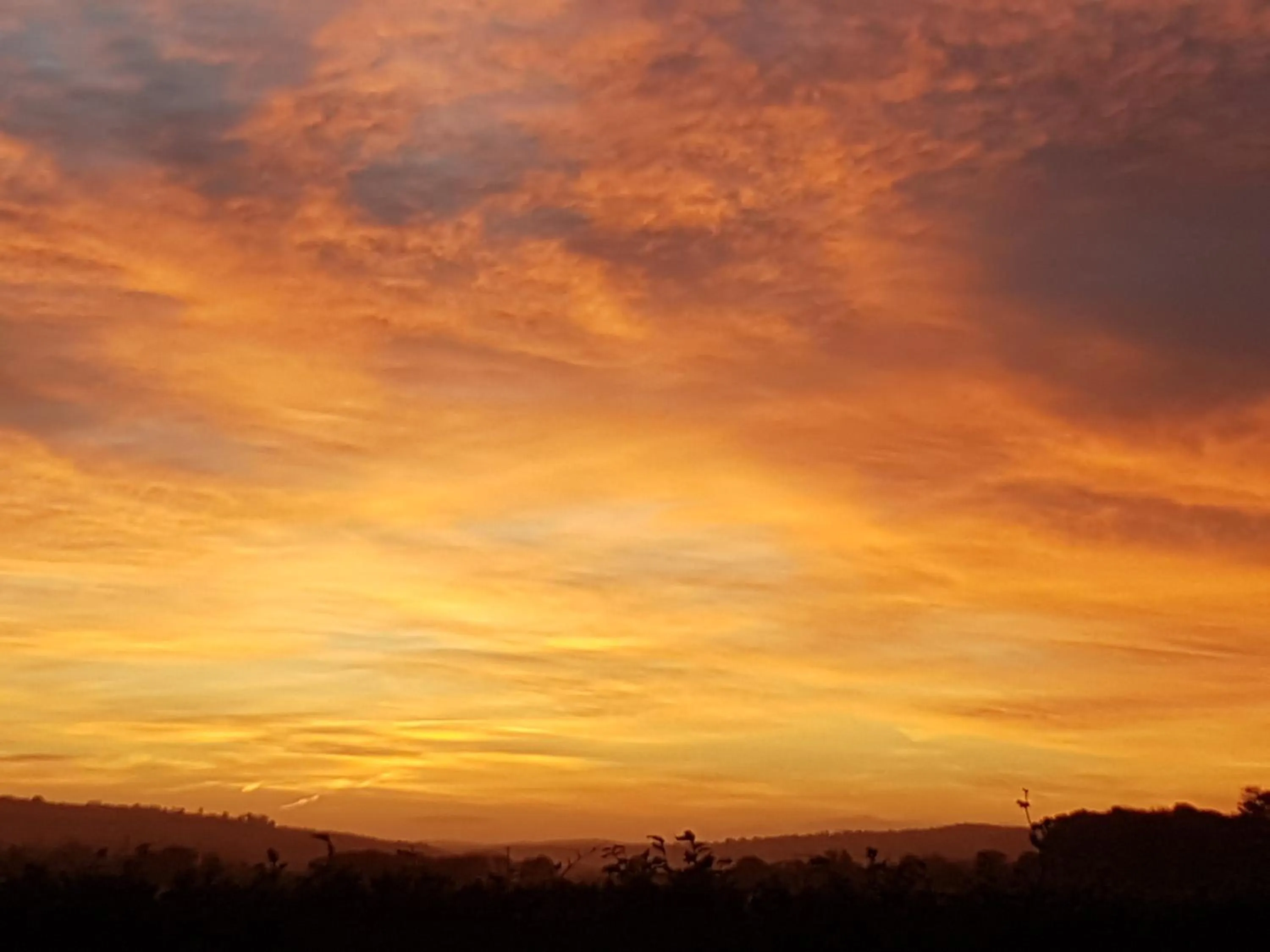 Property building in Moorepark West House