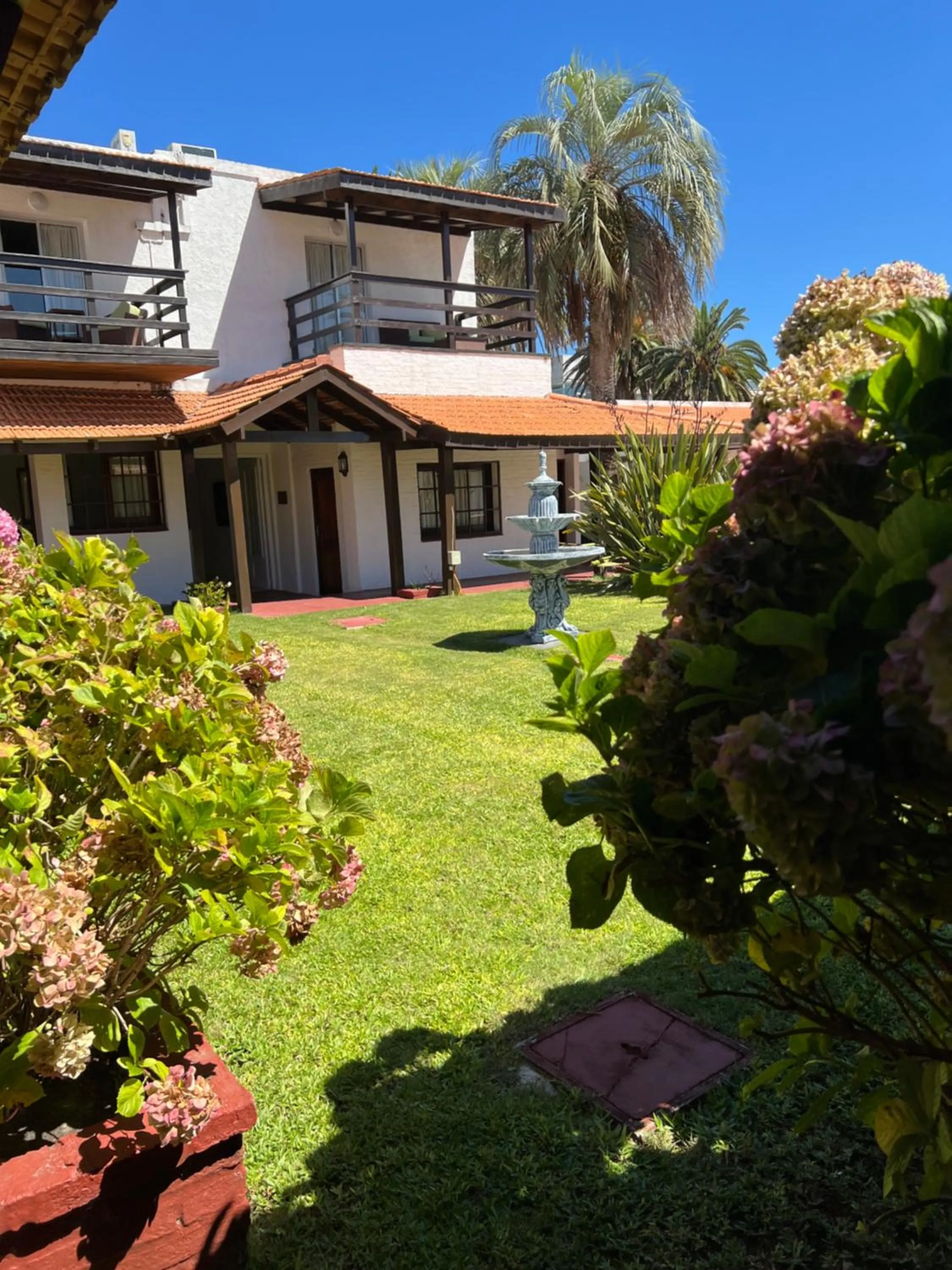 Garden view in Hotel Concorde