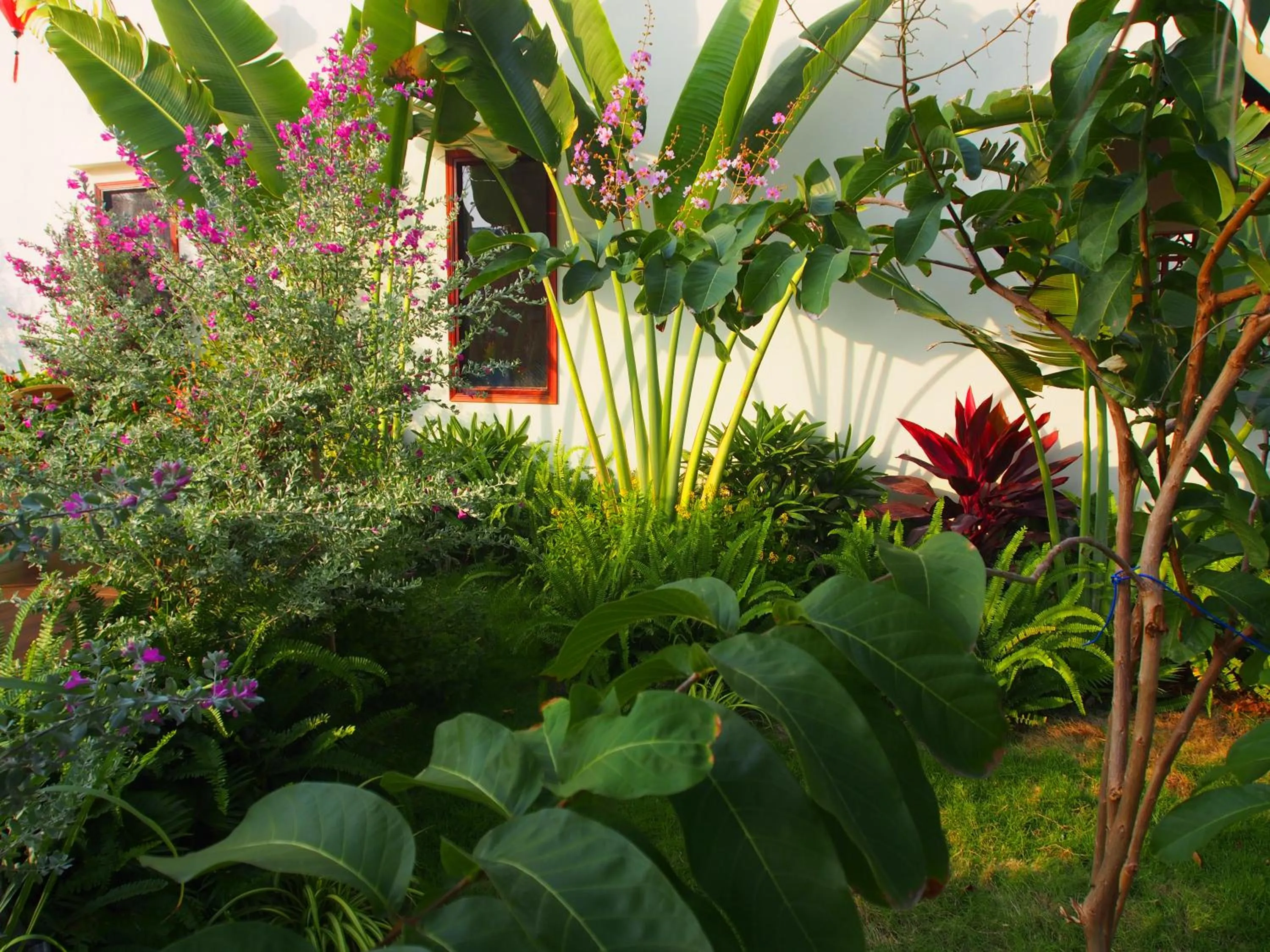 Garden in Hula Hula Seafront Phu Quoc