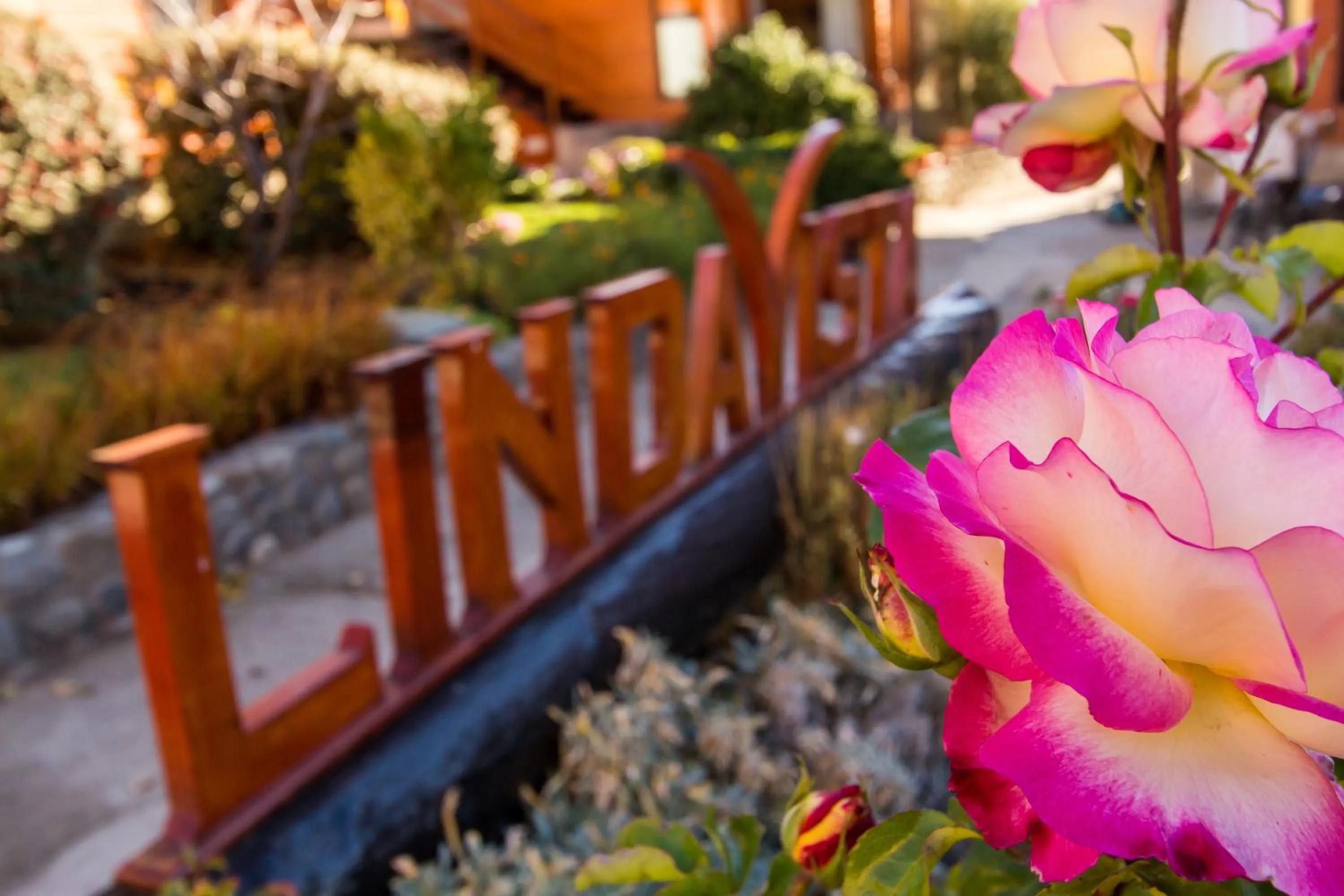 Garden in Linda Vista Apart Hotel