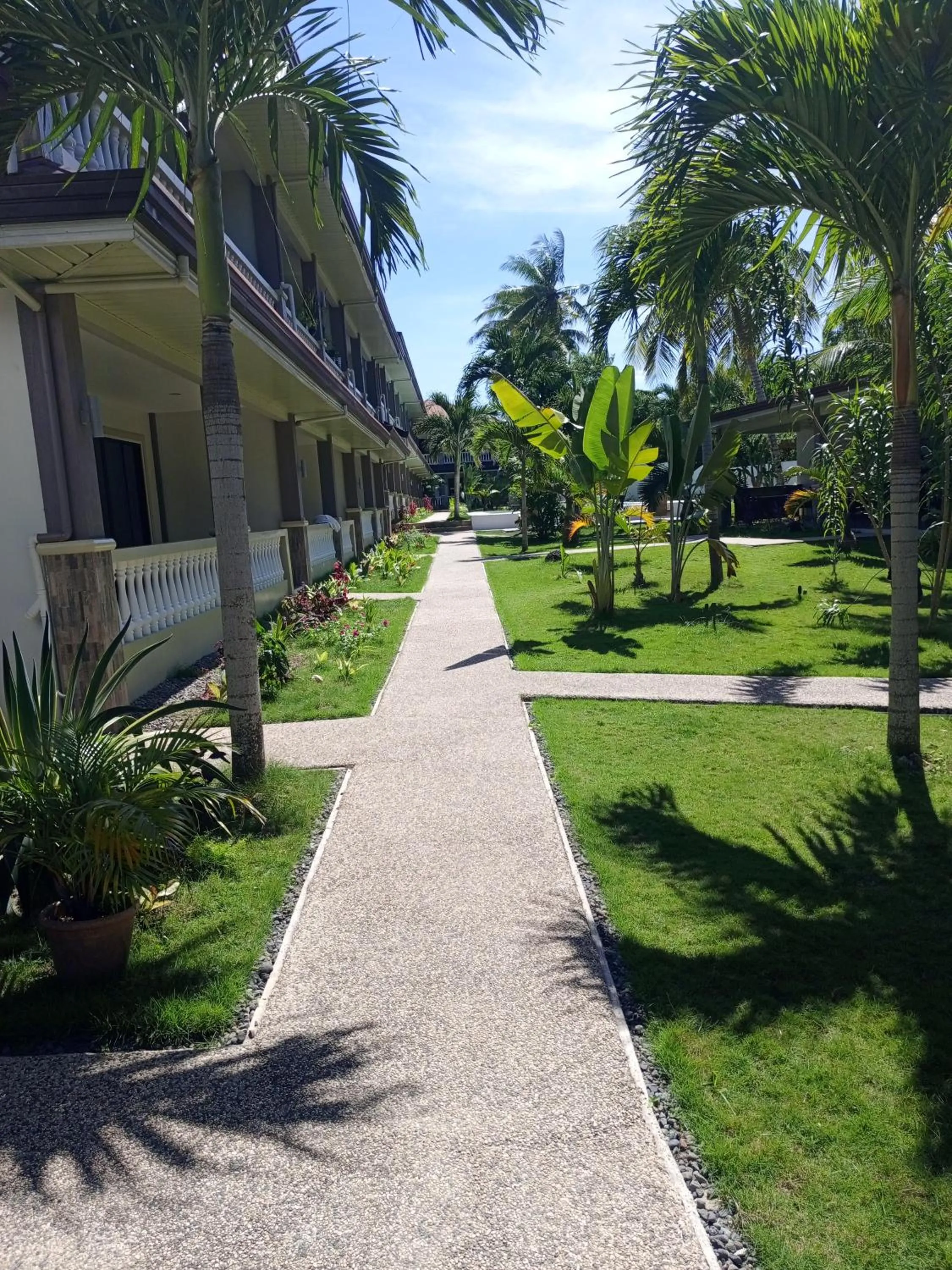 Garden view in Portofino Panglao Bohol