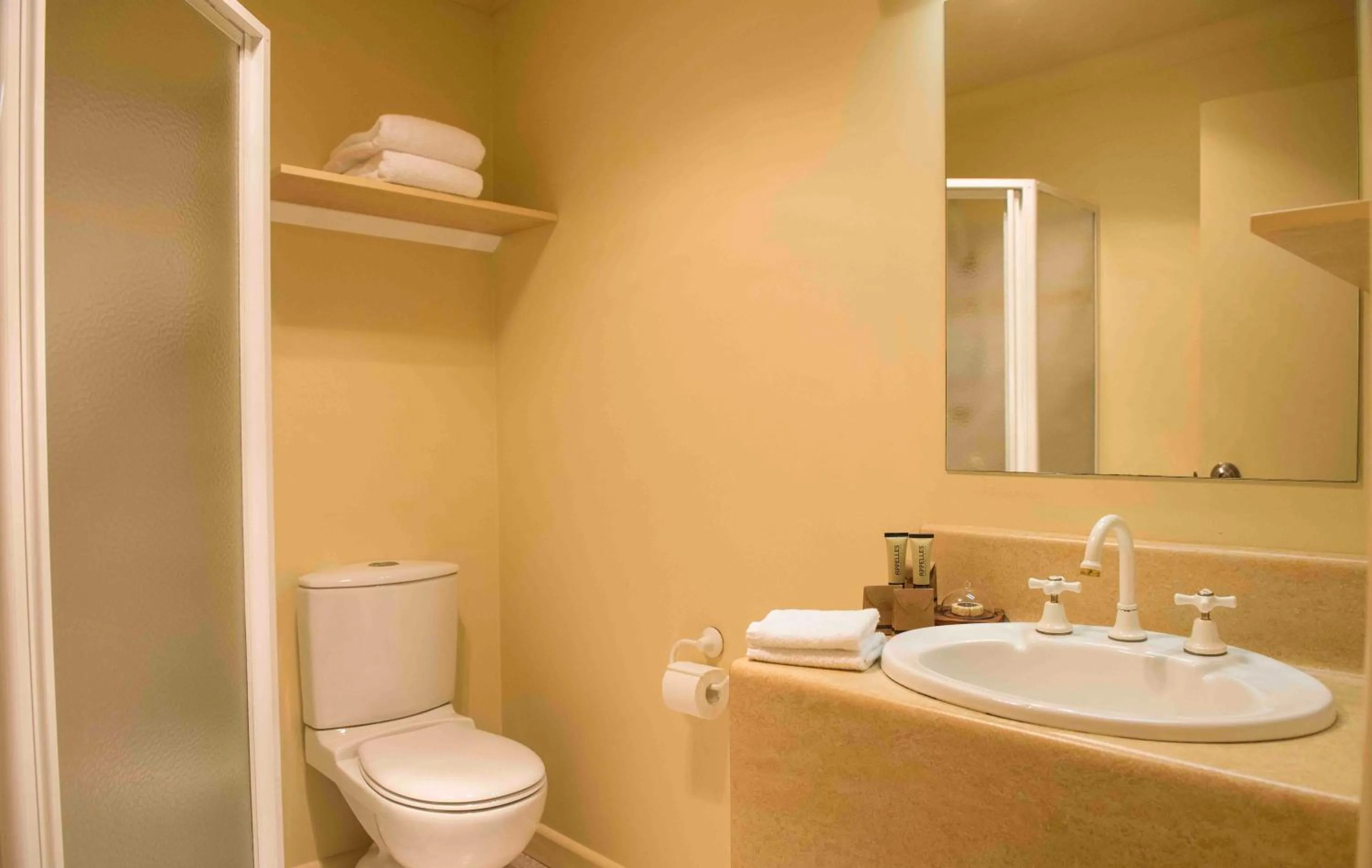 Shower in Cradle Mountain Hotel