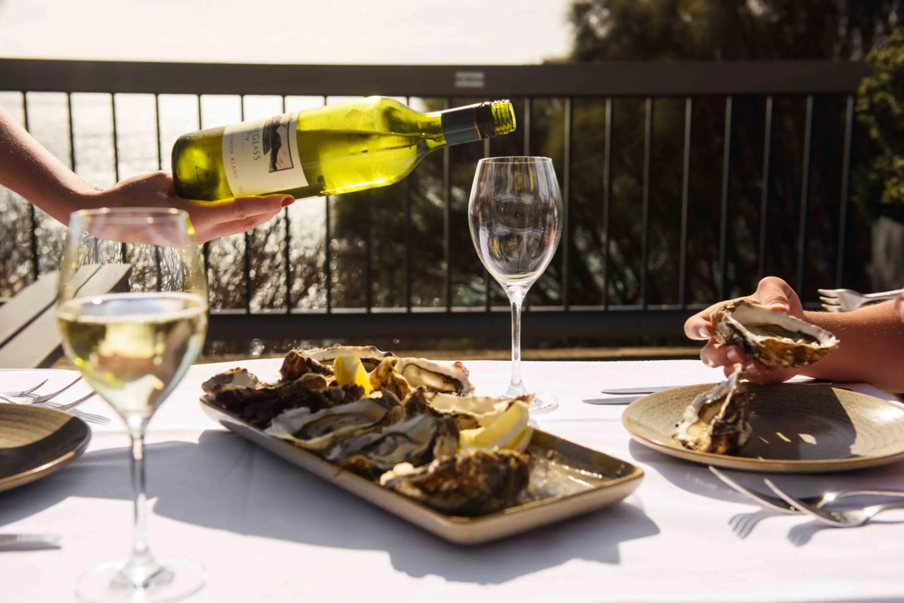 Food close-up in Freycinet Lodge