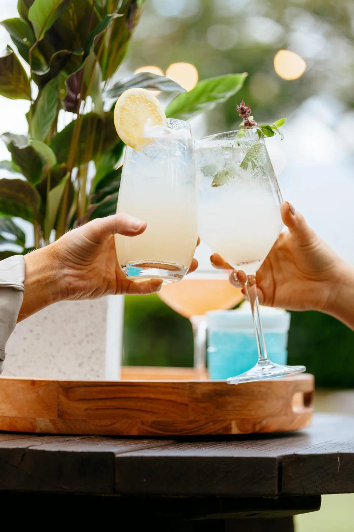 Restaurant/places to eat in Shangri-La The Marina, Cairns