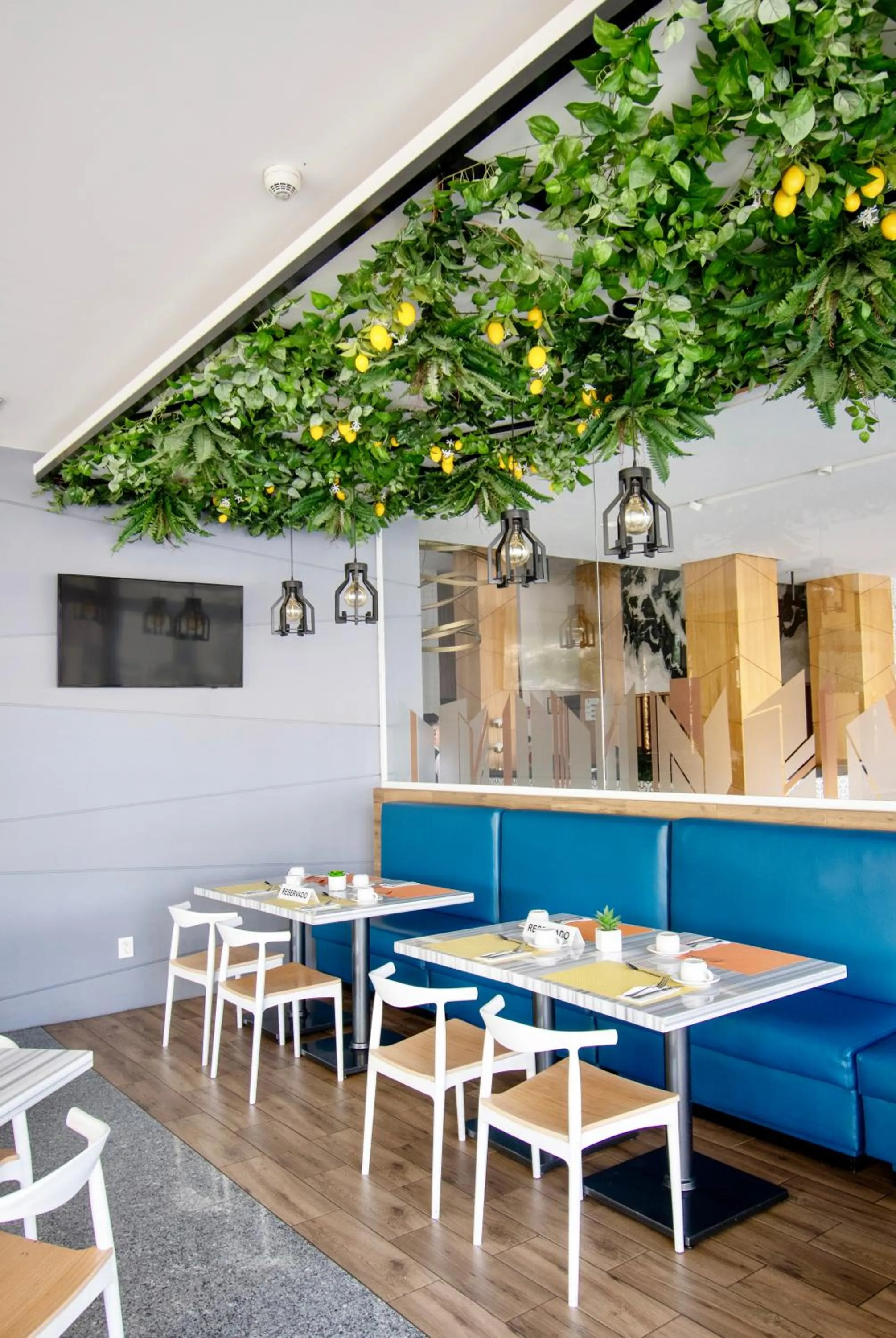 Restaurant/places to eat in Hotel Velvet Plaza