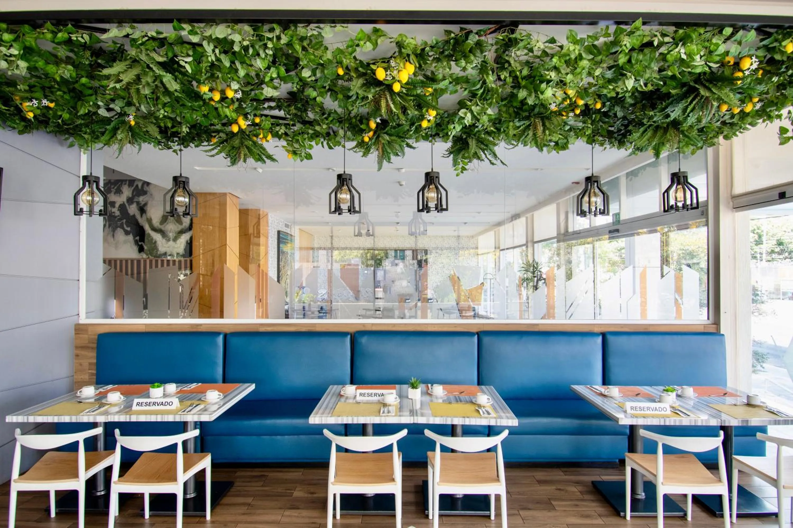 Restaurant/places to eat in Hotel Velvet Plaza