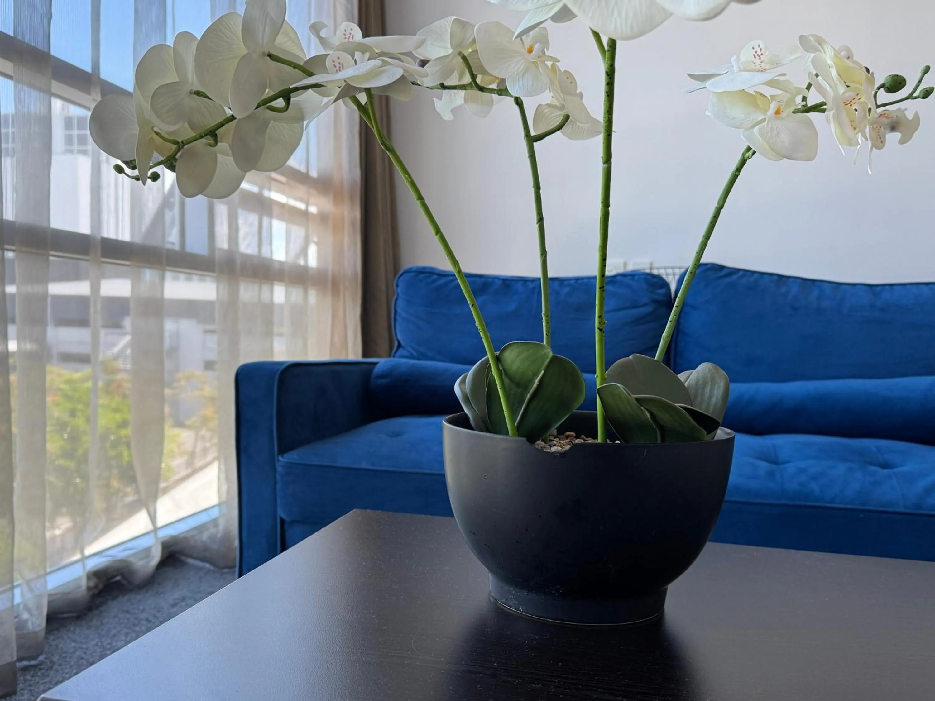 Living room in Quest Henderson, Auckland Apartment Hotel