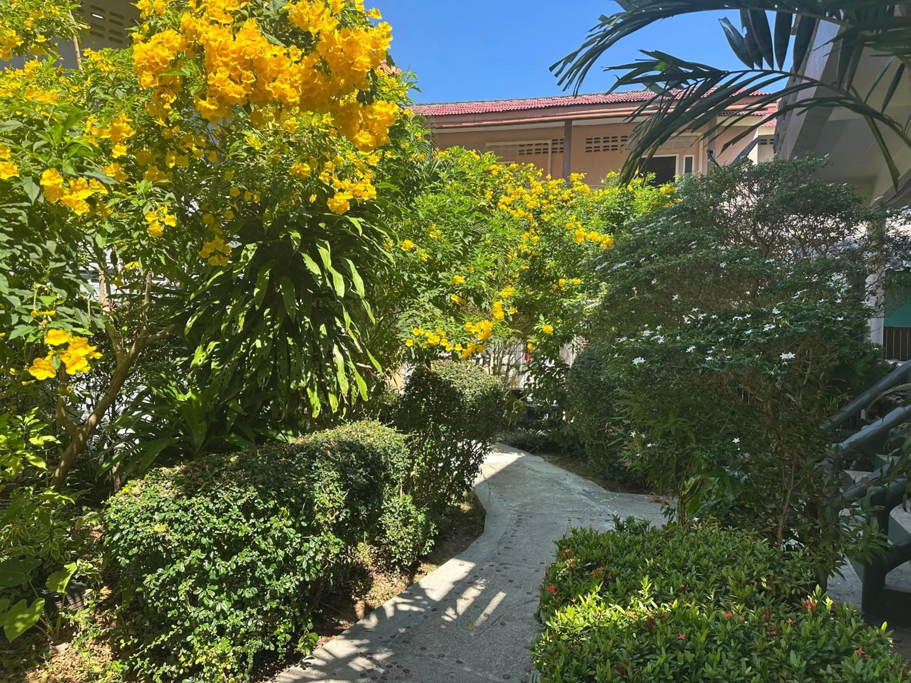 Garden view in Lanta Garden Home