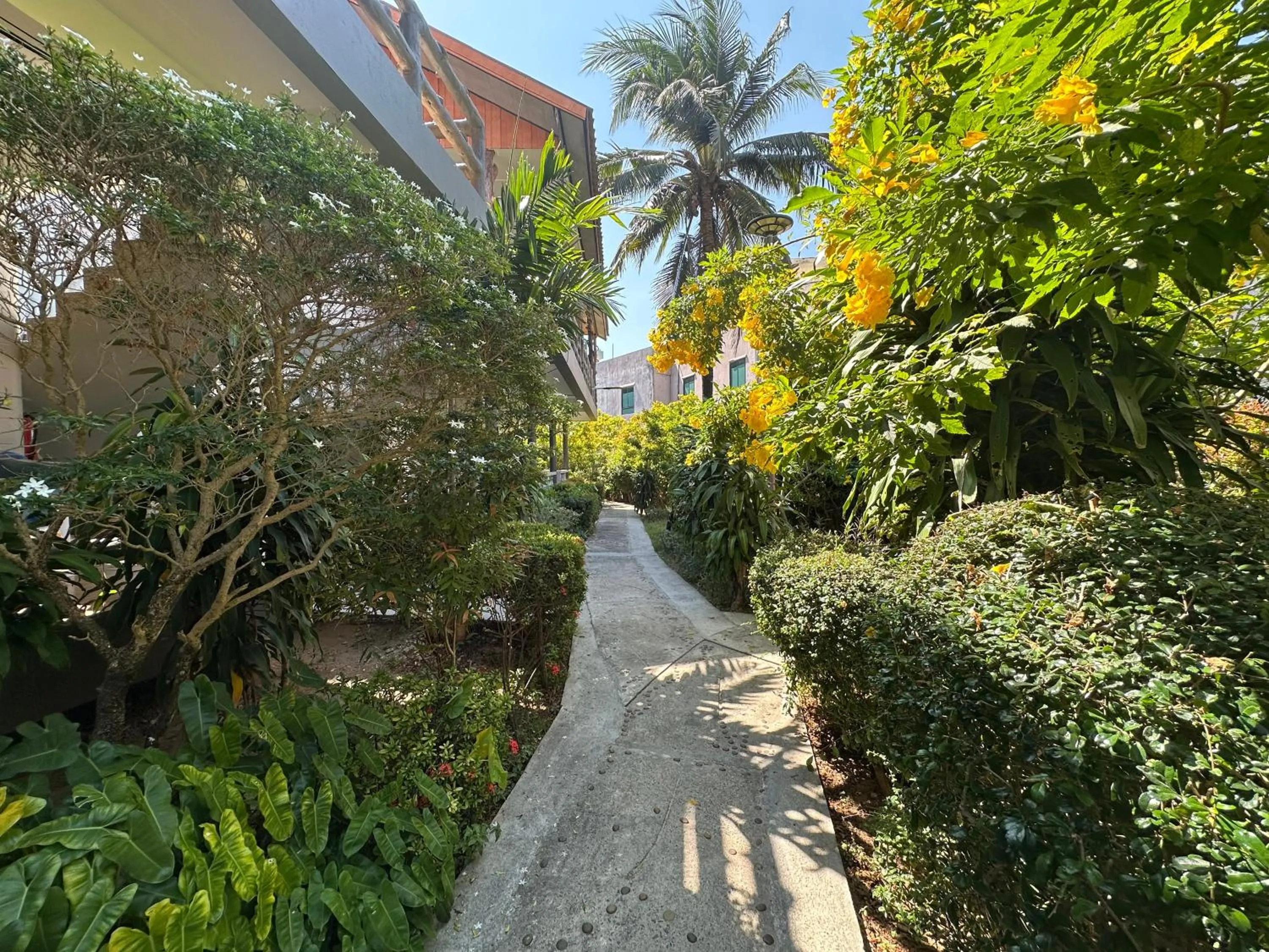 Garden in Lanta Garden Home