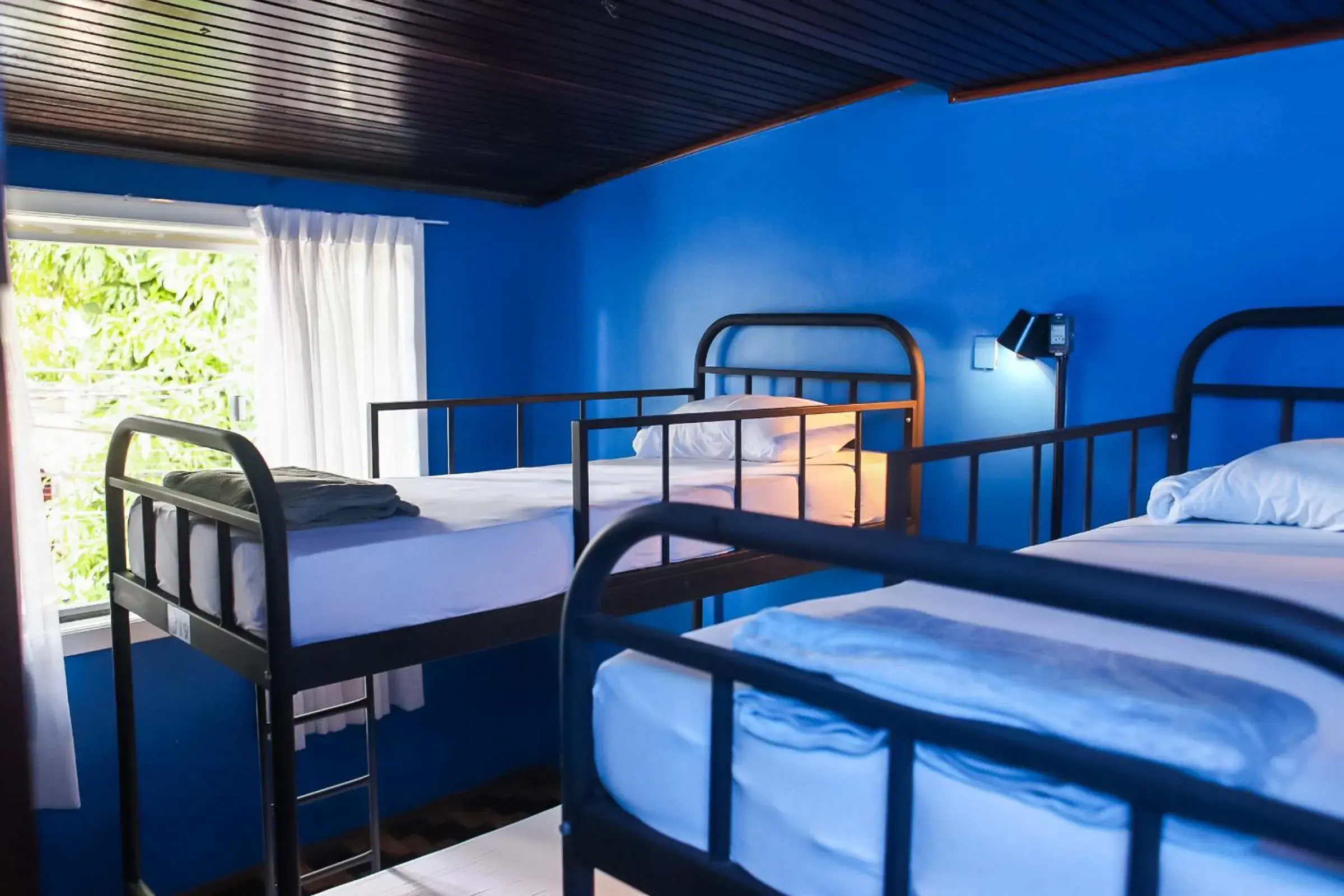 Single Bed in Female Dormitory Room in ÔVibe Party Hostel Single Bed in Female Dormitory Room in ÔVibe Party Hostel