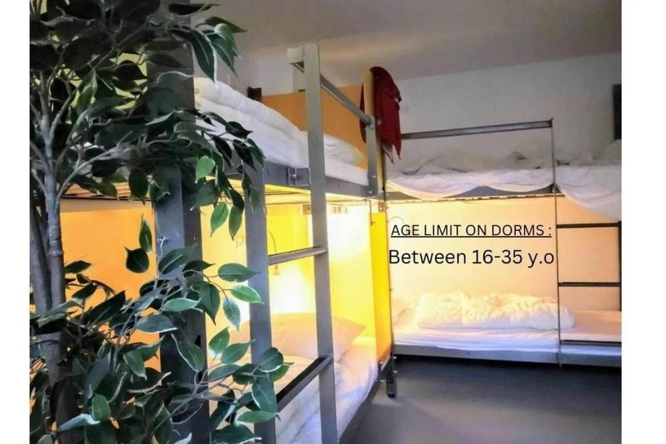 bunk bed, Bed in Sleep in Heaven