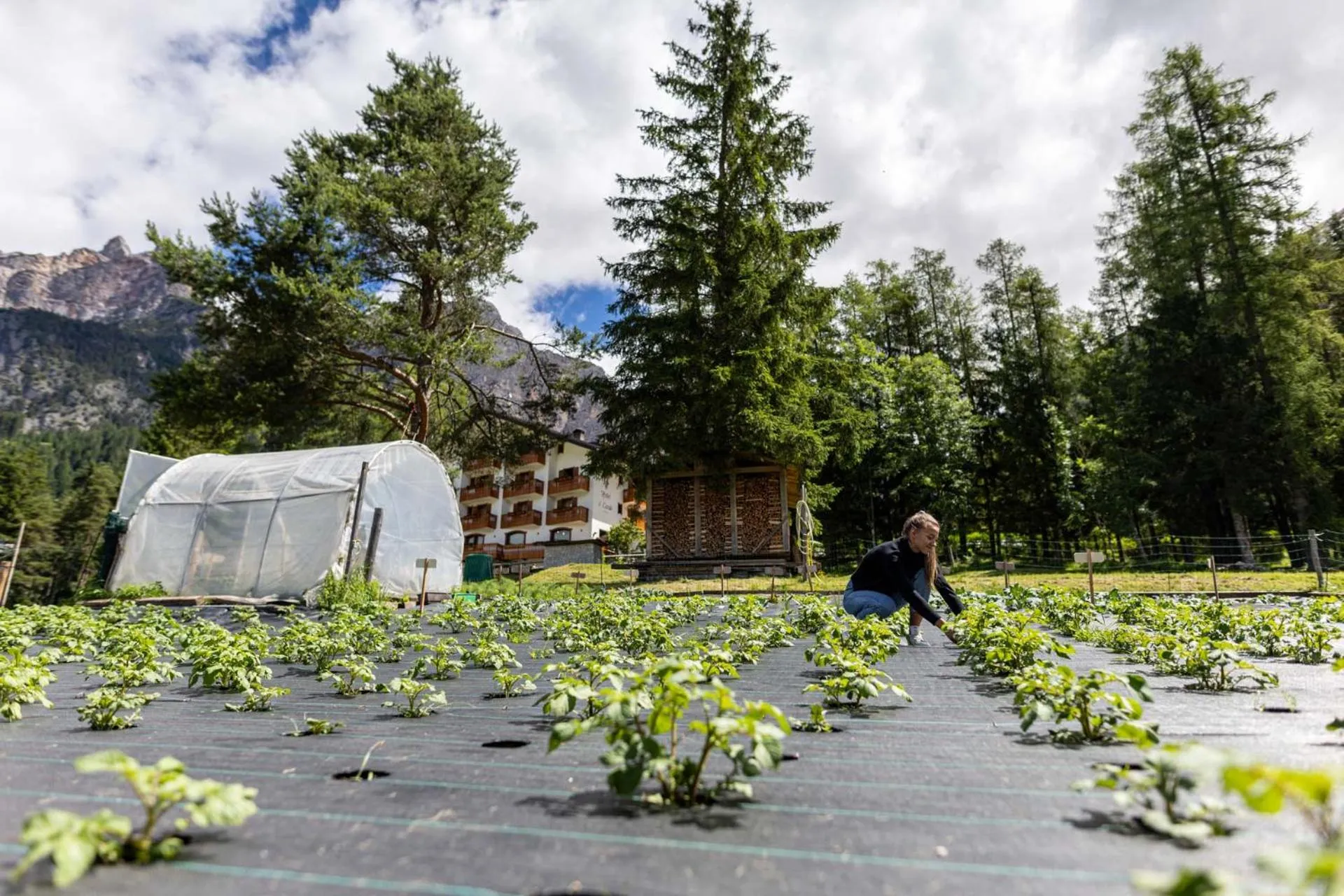 Garden in Hotel il Cardo