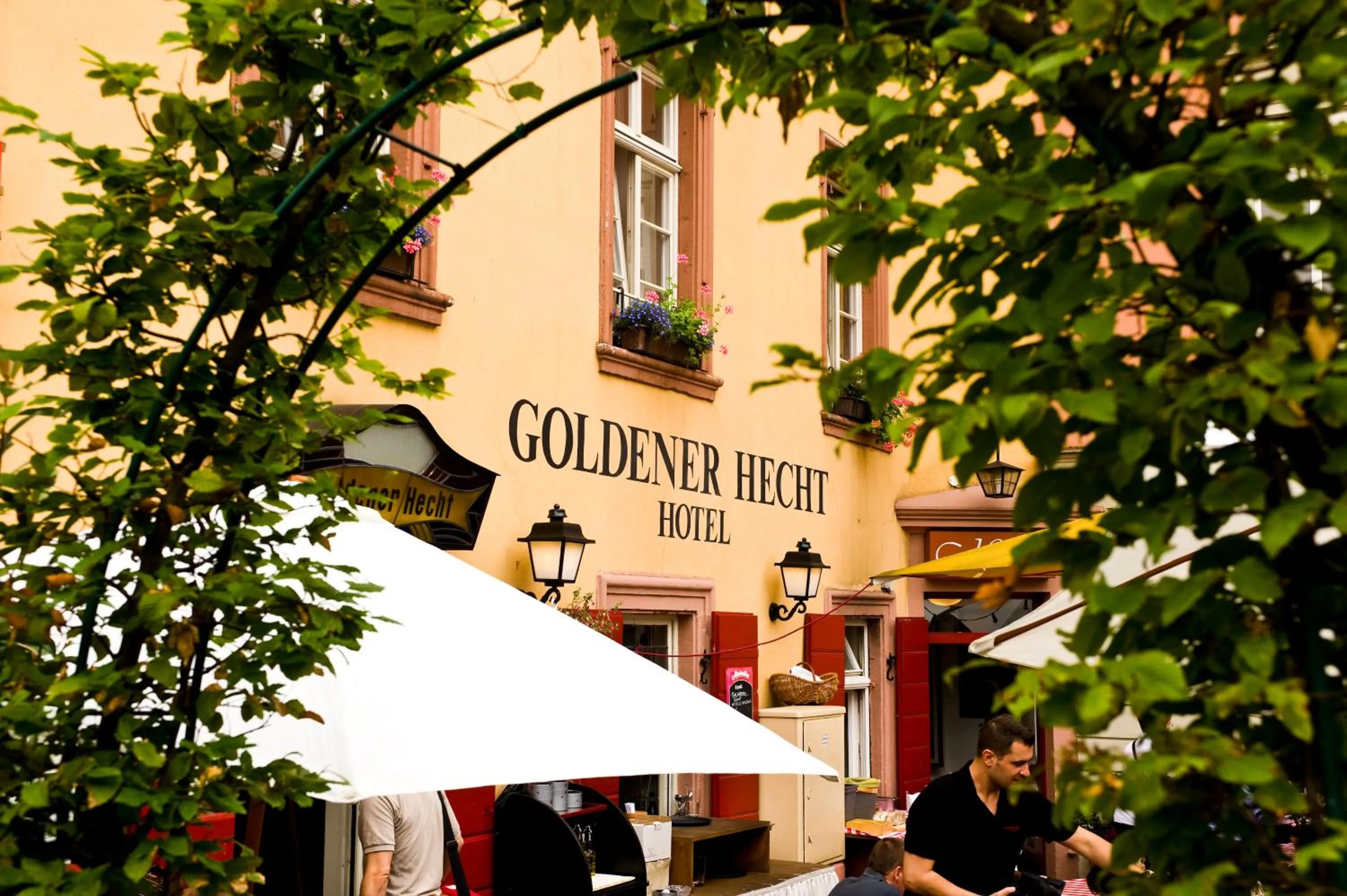 Property building in Hotel Goldener Hecht