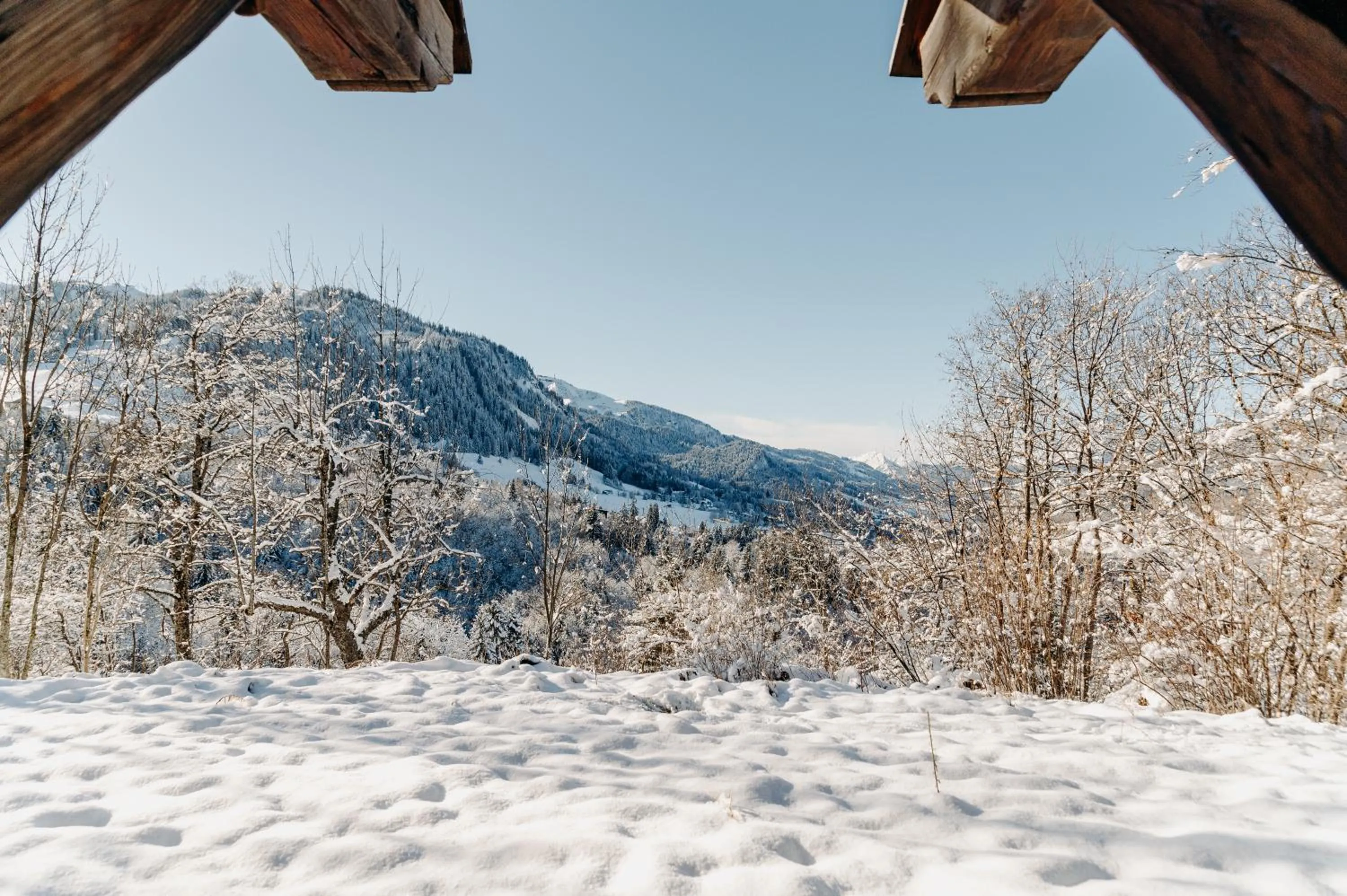 Natural landscape in Les Chalets du Mont d'Arbois & Spa, Megève