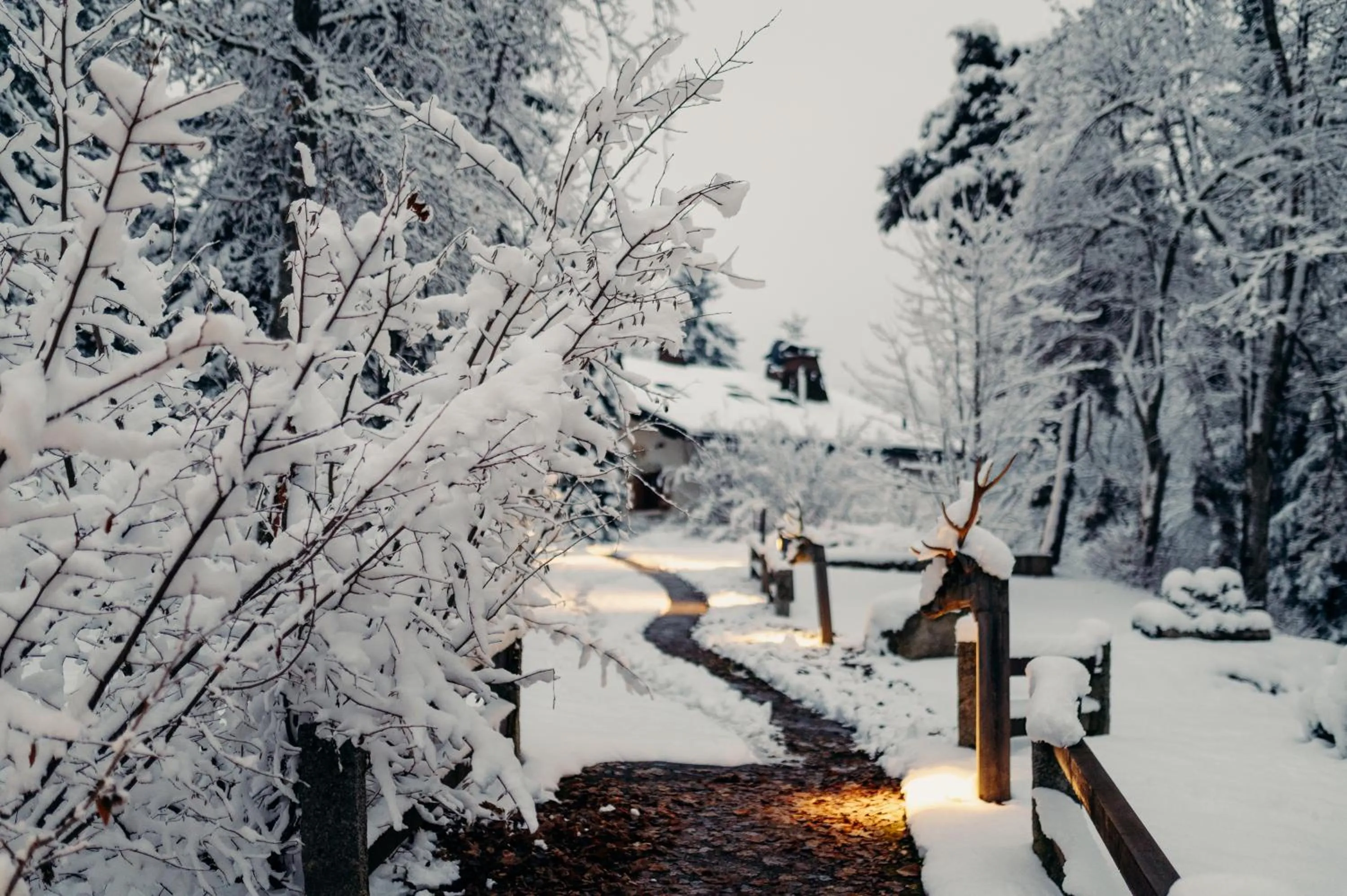 Garden in Les Chalets du Mont d'Arbois & Spa, Megève