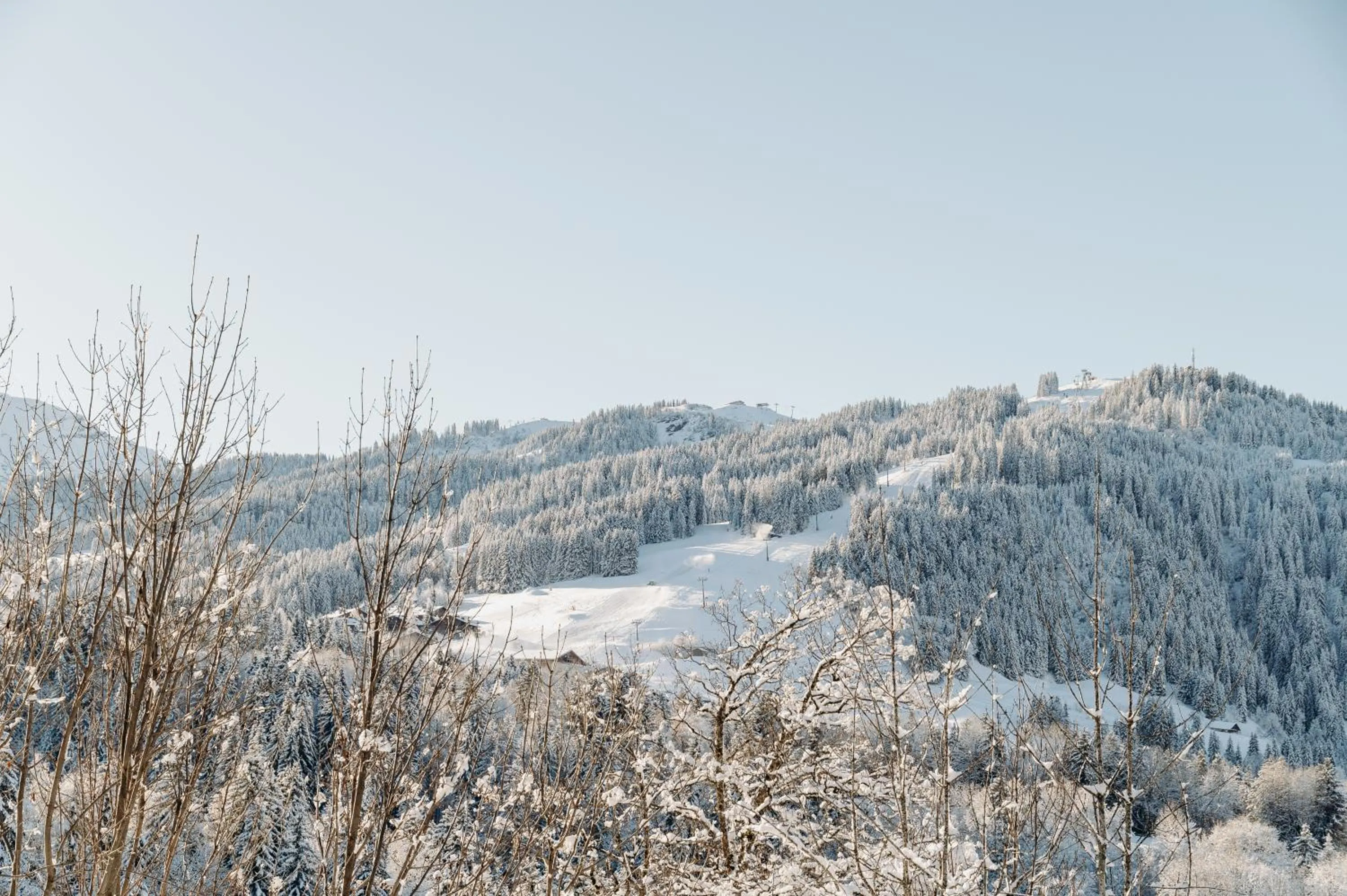 Natural landscape in Les Chalets du Mont d'Arbois & Spa, Megève