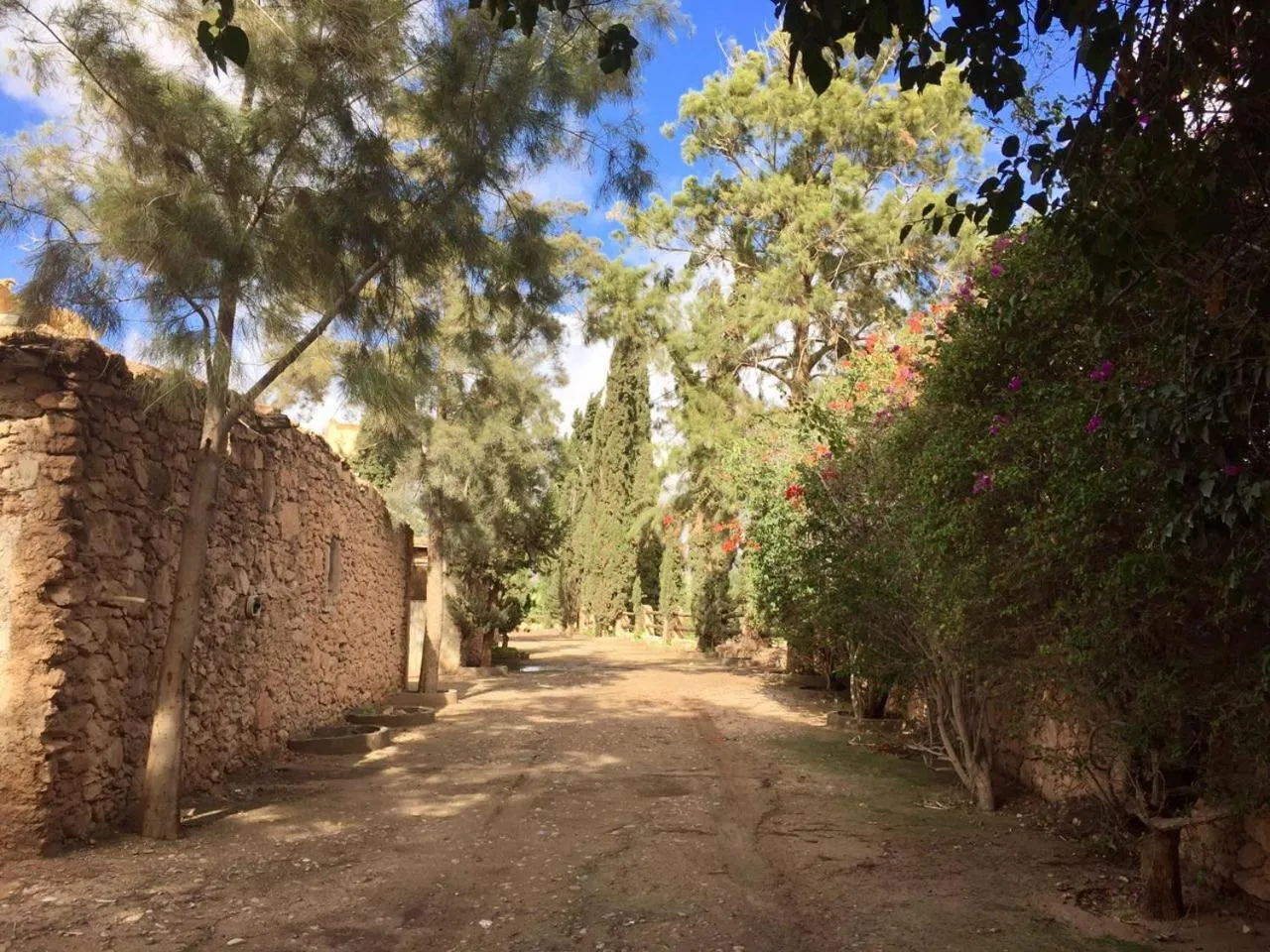 Garden in Villa du Souss