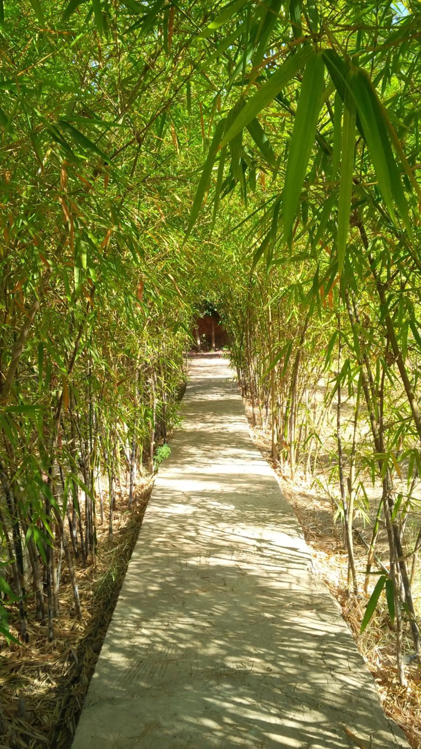 Garden in Villa du Souss
