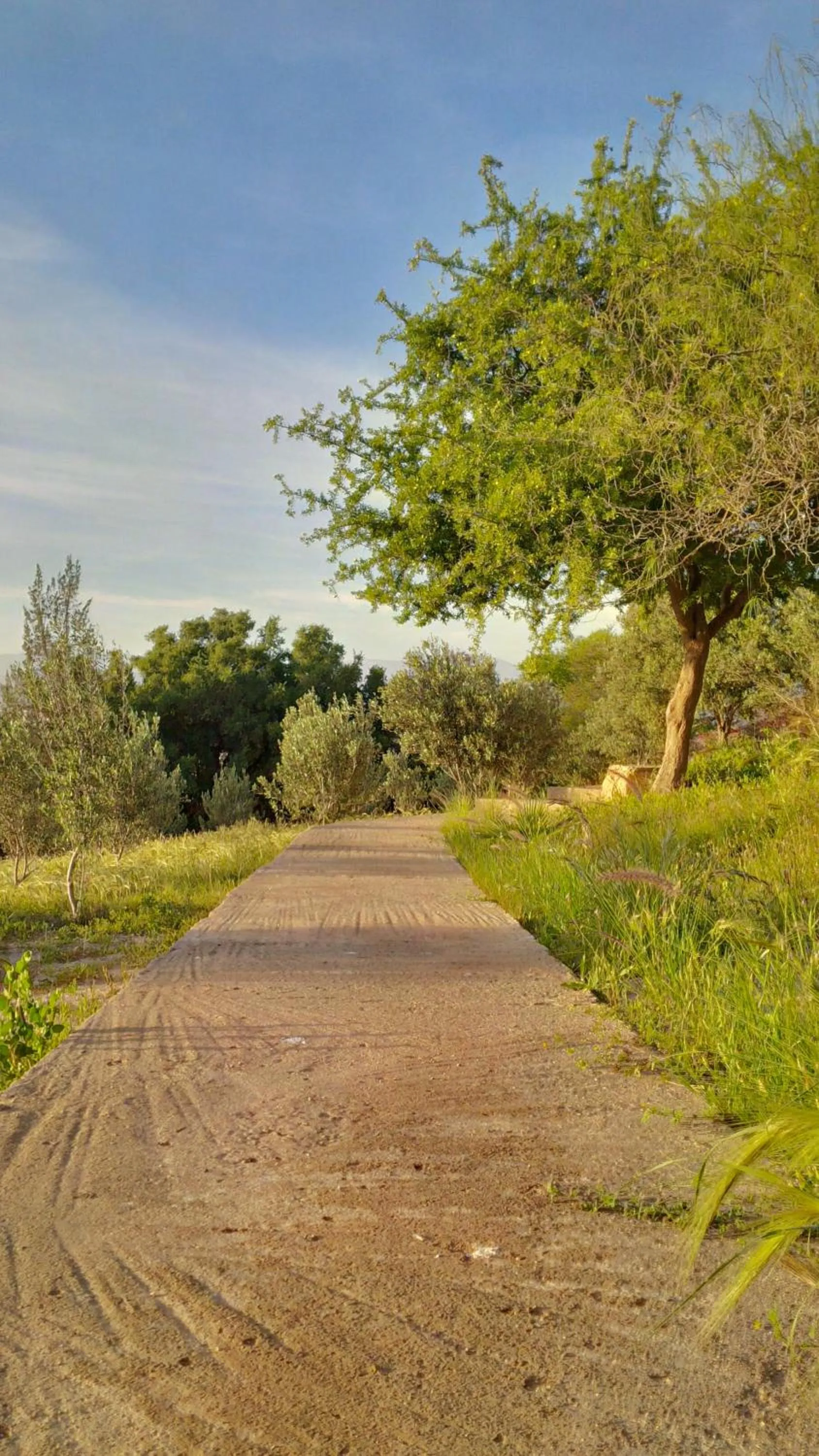 Garden in Villa du Souss
